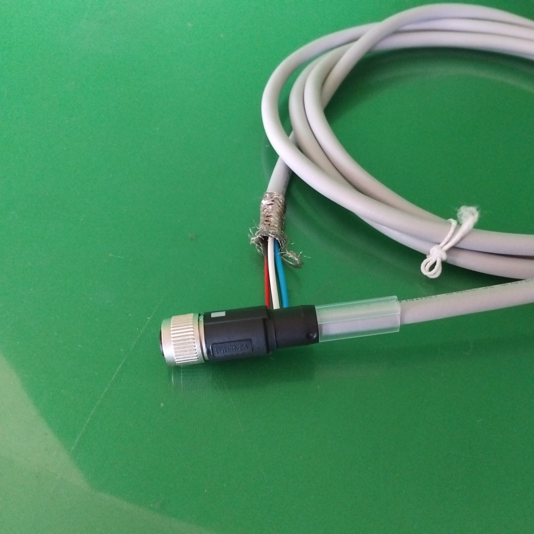 17296