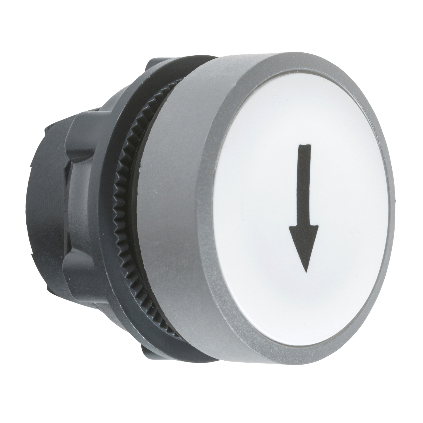 Schneider Electric-ZB5AA334C0-tête BP Ø22 marqué blanc