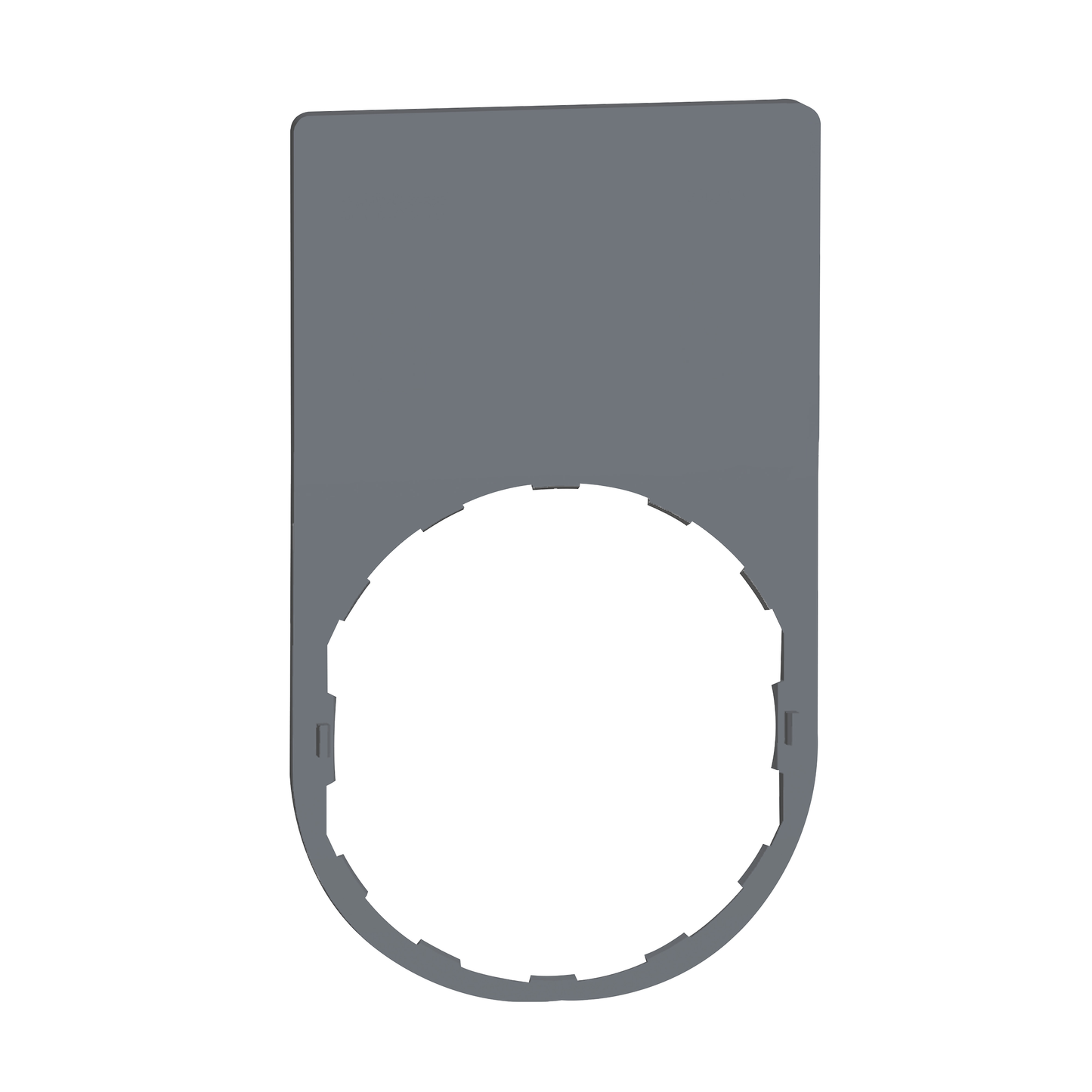 Schneider Electric-ZBYP6101C0-LGNDPLATE 30x50 2ROW-BLNK LABEL(BLK/RED)