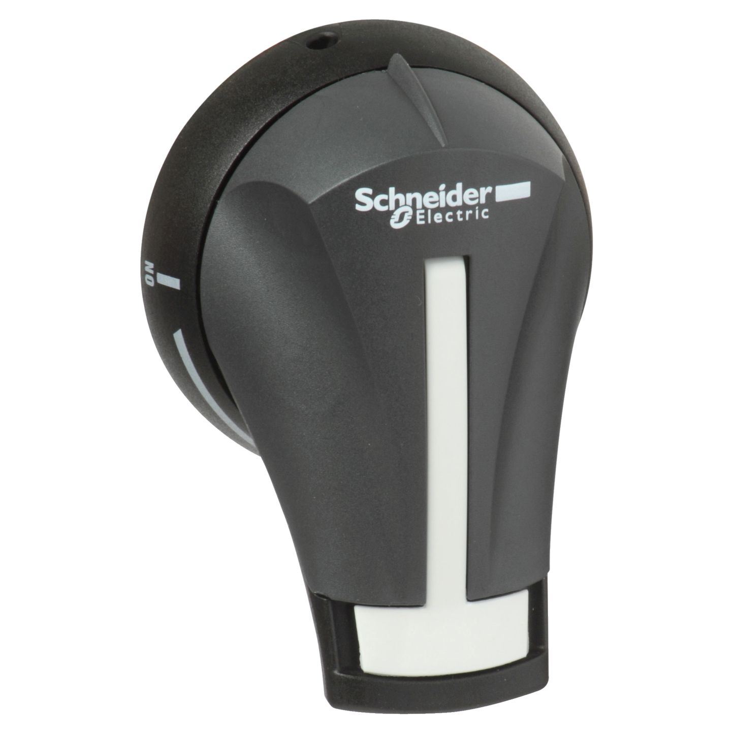 Schneider Electric-GS2AH210-POIG EXT LAT DROITE 32..63A IP65 NOIRE