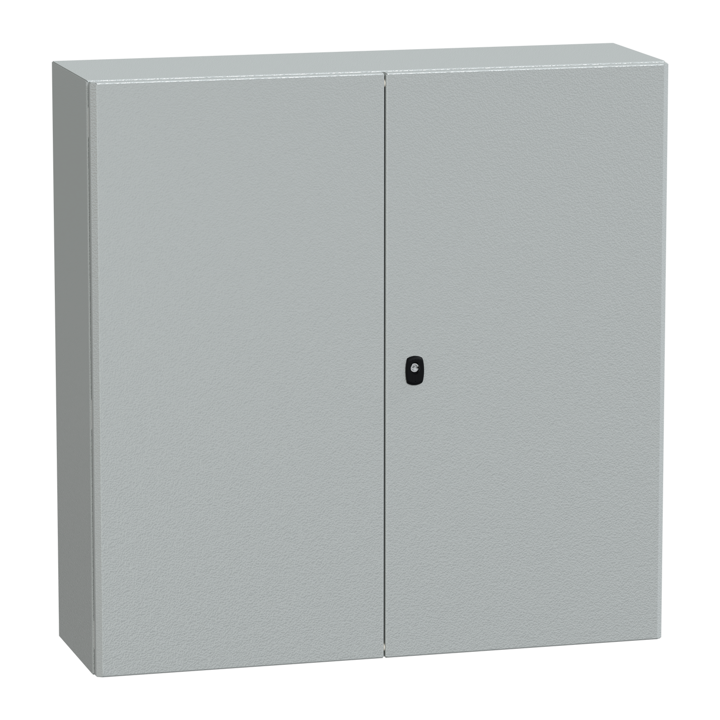 Schneider Electric-NSYS3D101030D-PanelSeT S3D - Enveloppe acier - H1000xL1000xP300 - 2 portes pleines