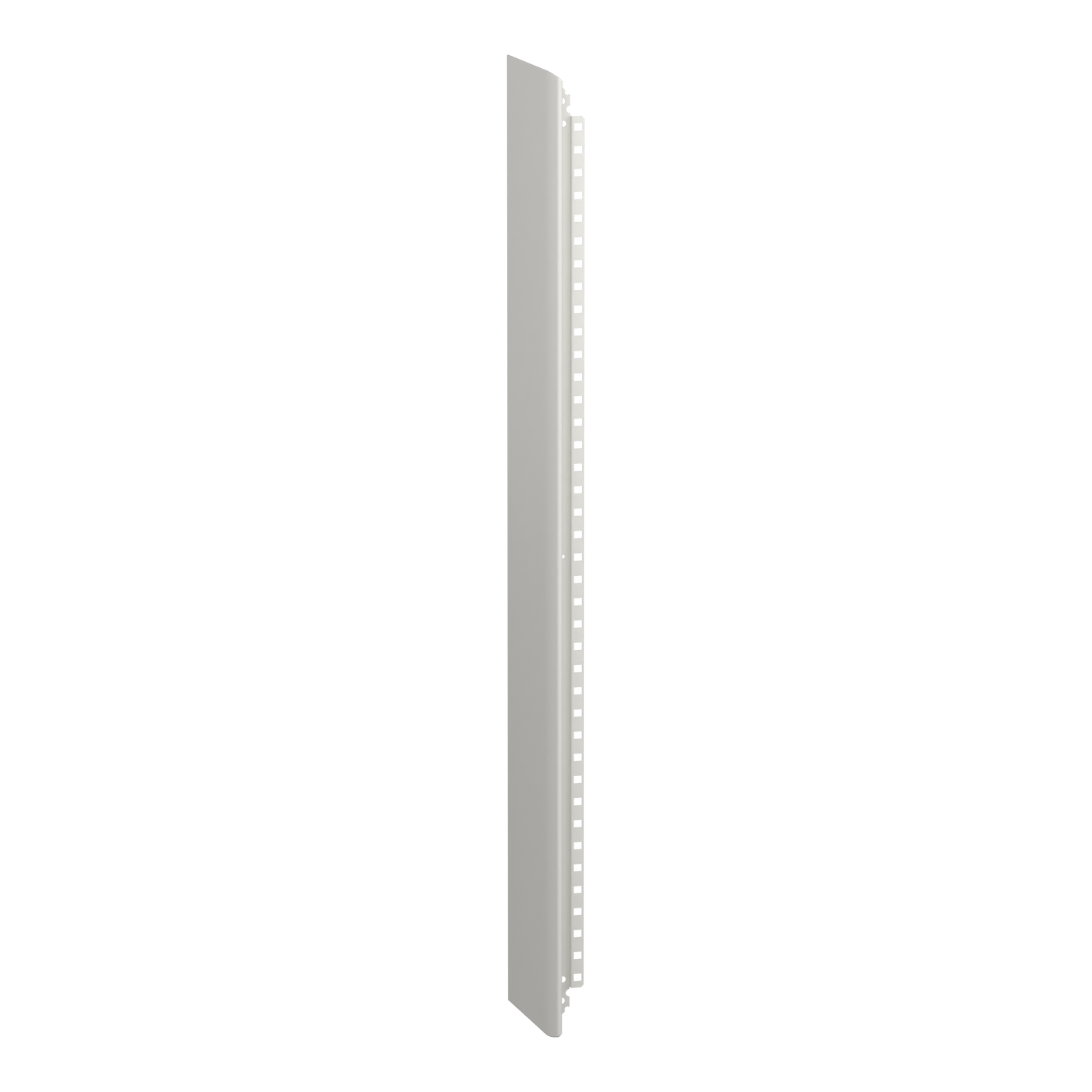Schneider Electric-LVS01045-PrismaSeT G - Panneau latéral - Coffret 21M - IP30 - RAL9003