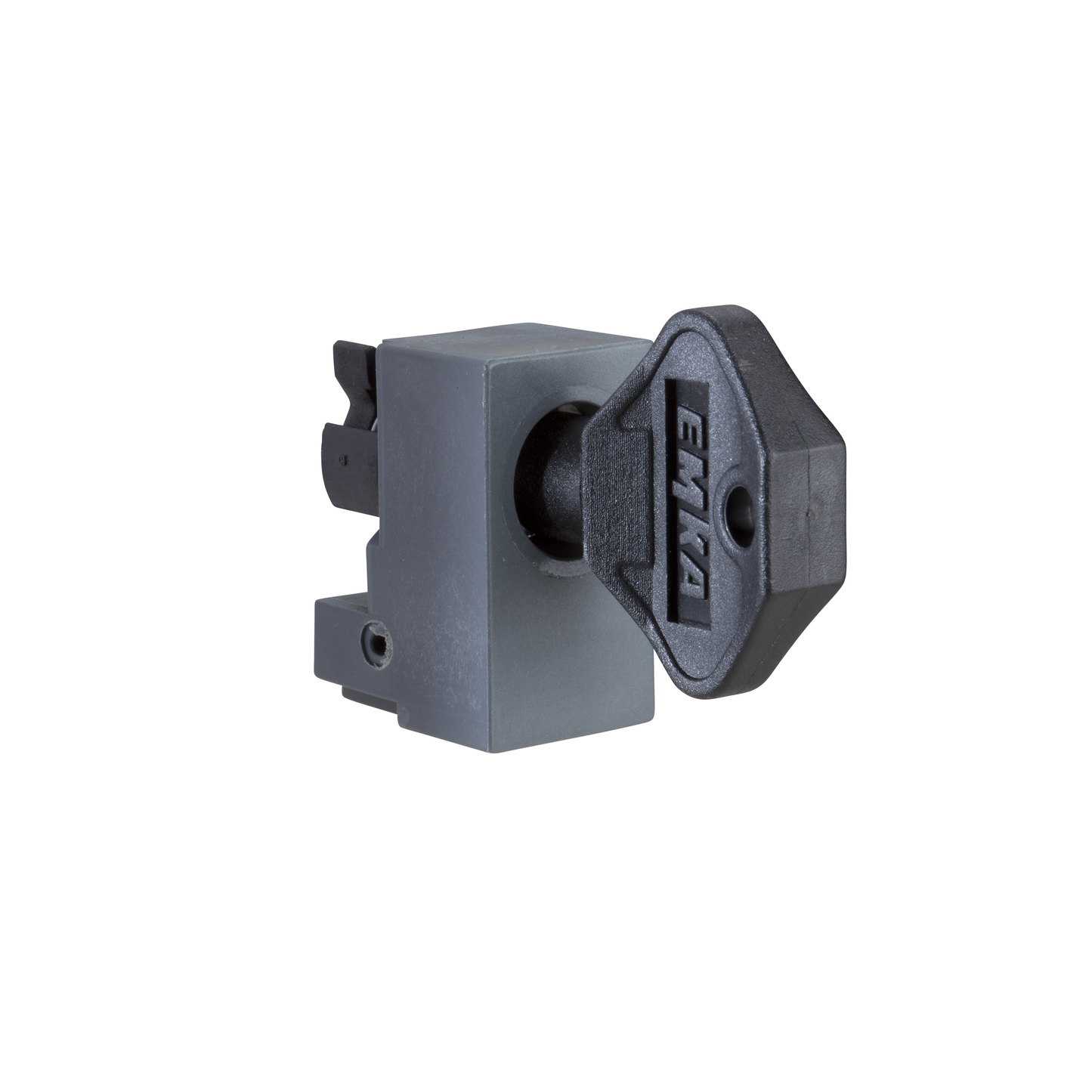 Schneider Electric-NSYINDB31-INSERT DBLE BARR.3P.POIGN
