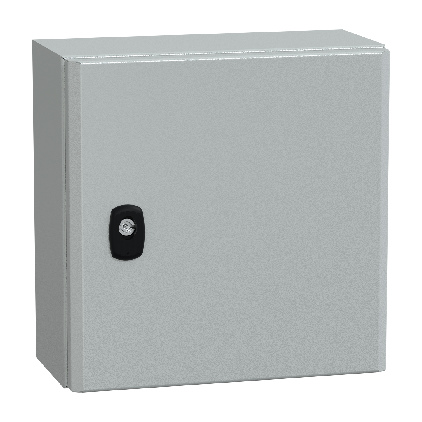 Schneider Electric-NSYS3D3315-S3D 300X300X150 PORTE PL