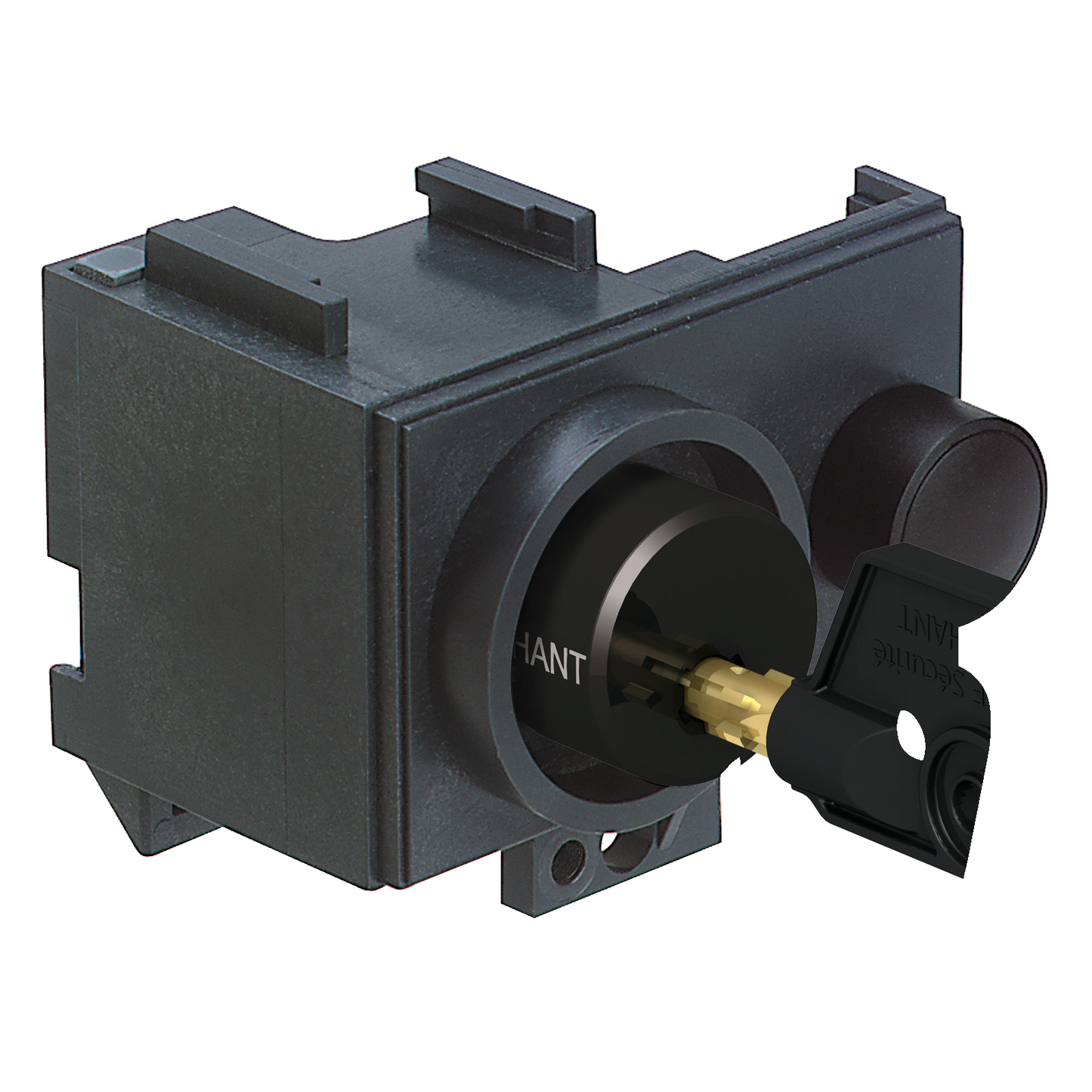Schneider Electric-64933-ComPact NS - Verrouillage position ouvert Ronis - 2 serrures profils indiff