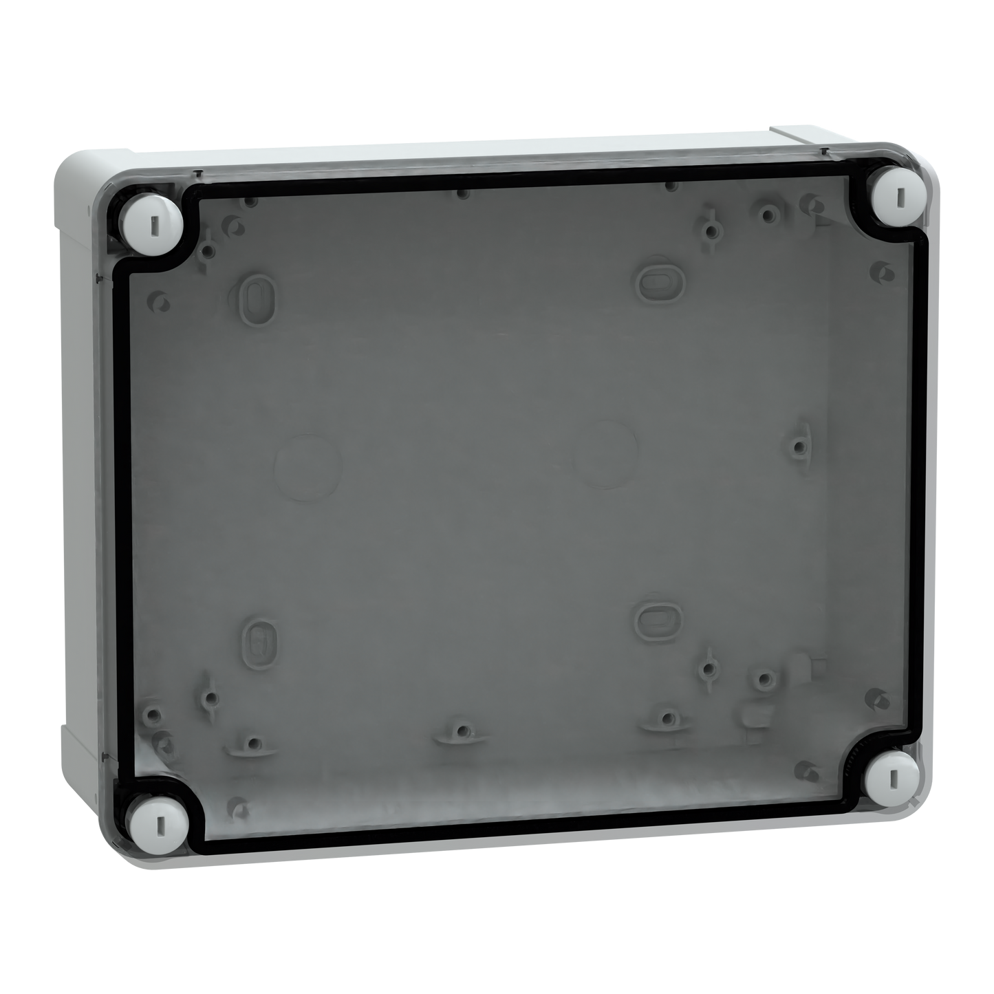 Schneider Electric-NSYTBS24198T-Thalassa - boîte industrielle - transparente - 241x192x87mm - ABS