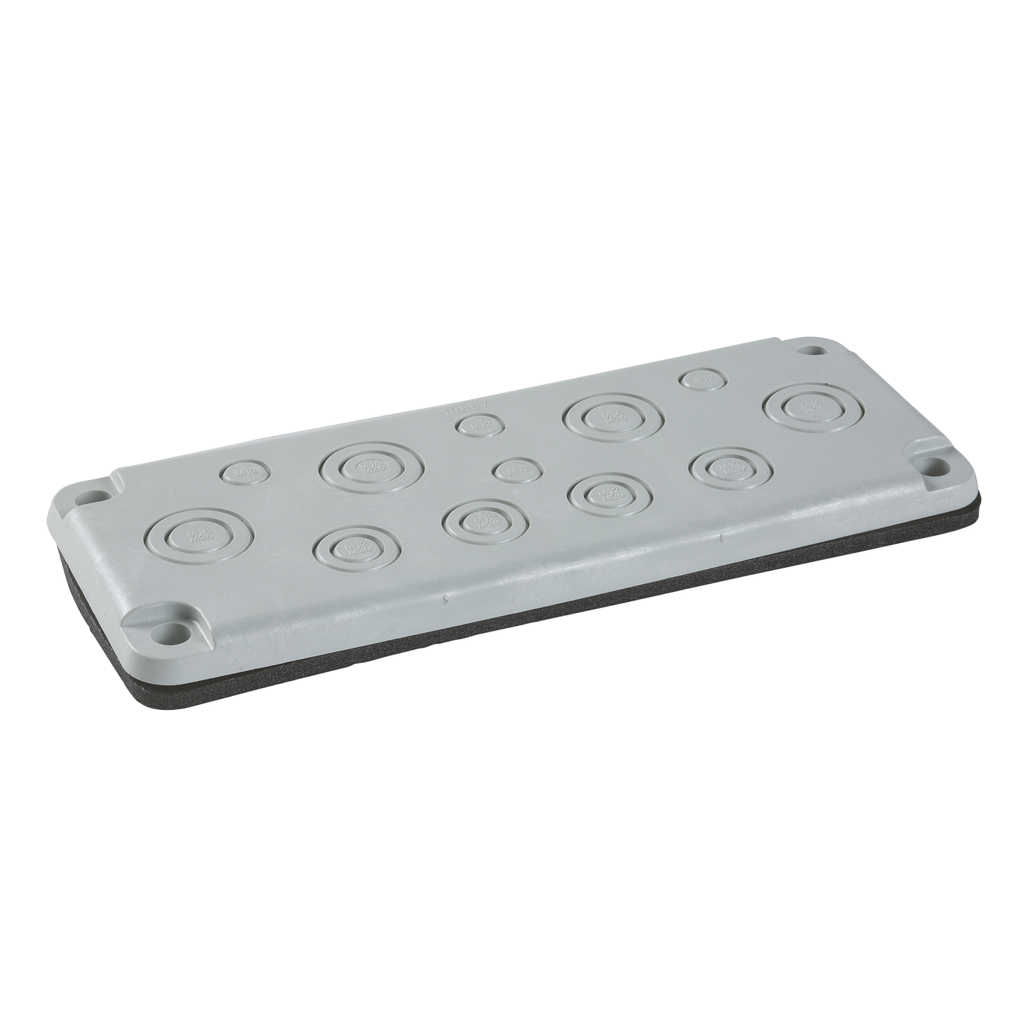 Schneider Electric-NSYTSAKFL-PLAQUE ISOL.FL21 A-PREDEF