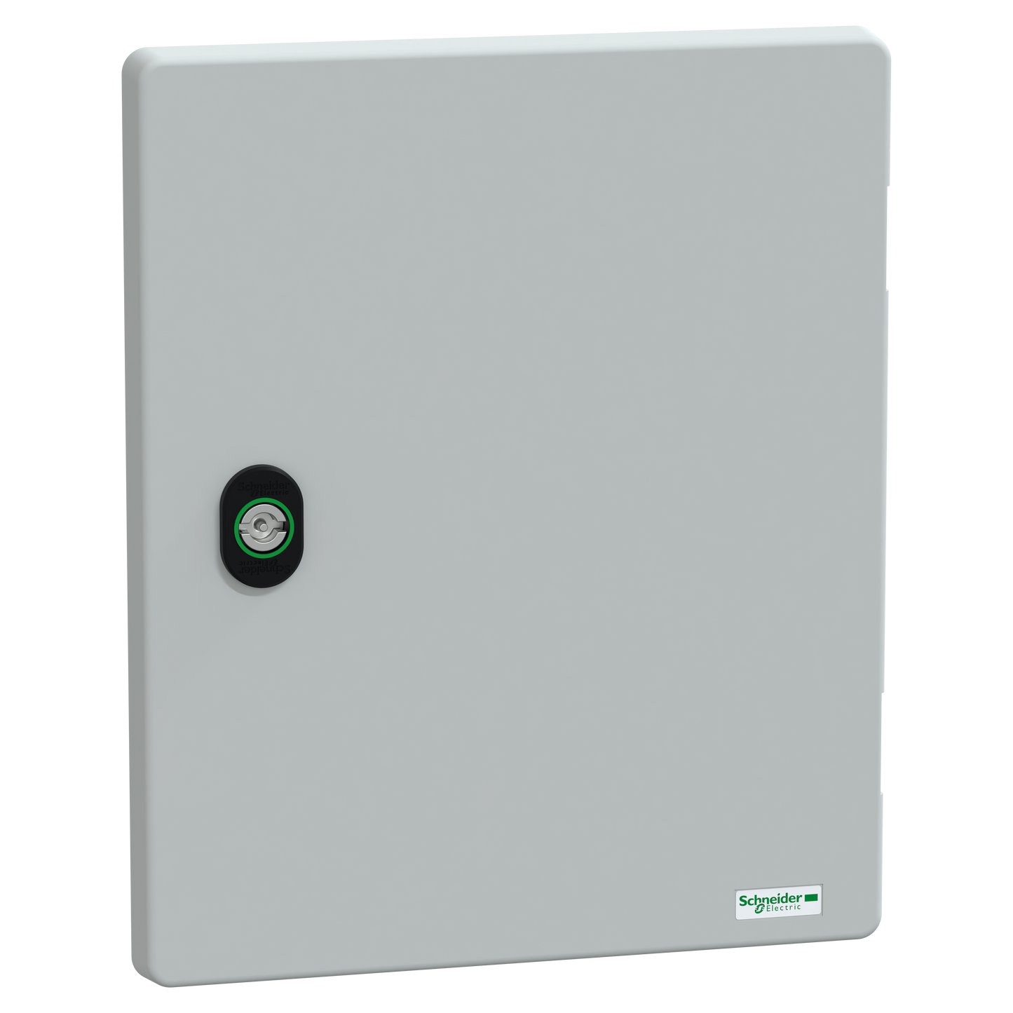 Schneider Electric-NSYDPLM3025G-Porte sans serrure PLM3025