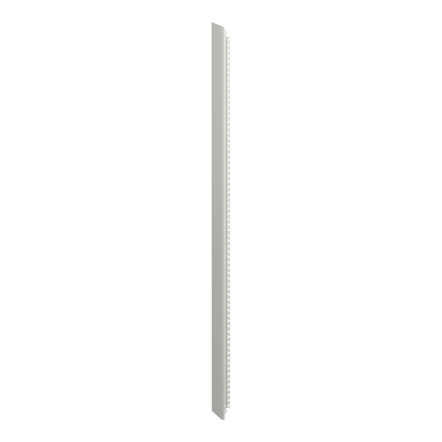 Schneider Electric-LVS01047-PrismaSeT G - Panneau latéral - Coffret 36M - IP30 - RAL9003