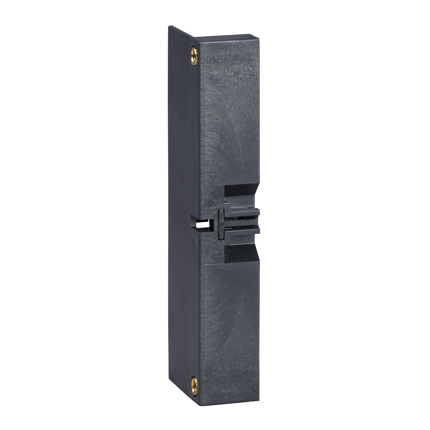 Schneider Electric-28956-Compact INS100 à 160 - cache-vis - 3P/4P - 1 paire