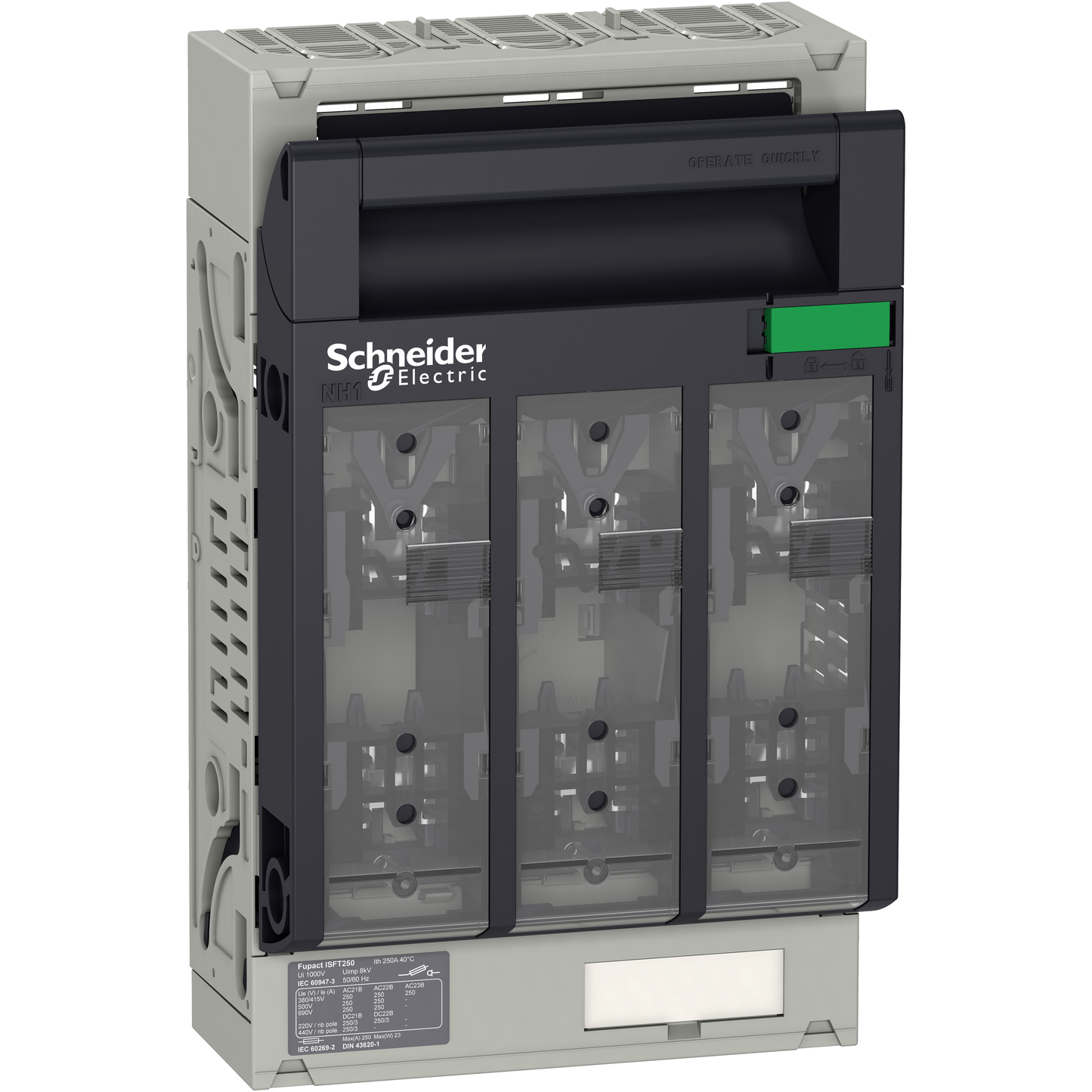 Schneider Electric-LV480804-ISFT250 3P fixe M10