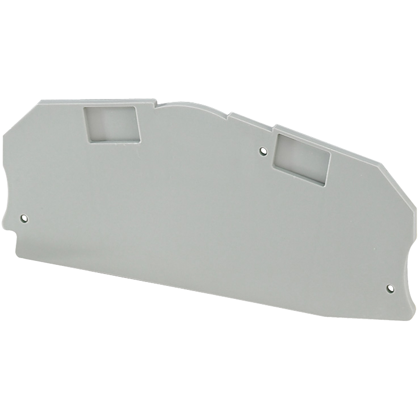 Schneider Electric-NSYTRACT22-Cloison extremité 2 pts largeur 22mm pour borne visee NSYTRV62TT