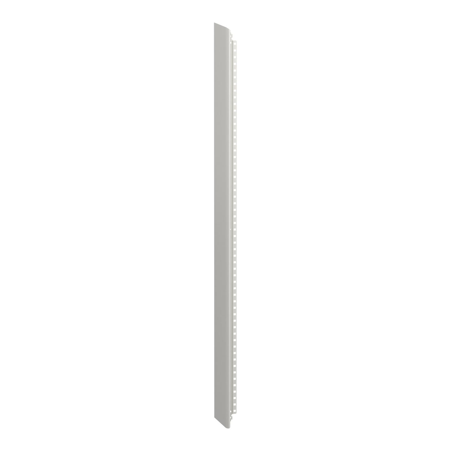 Schneider Electric-LVS01034-PrismaSeT G - Panneau latéral - Armoire 30M - IP30 - RAL9003
