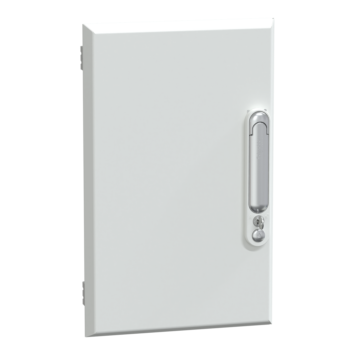 Schneider Electric-LVS08183-Porte pleine gaine ext 9M