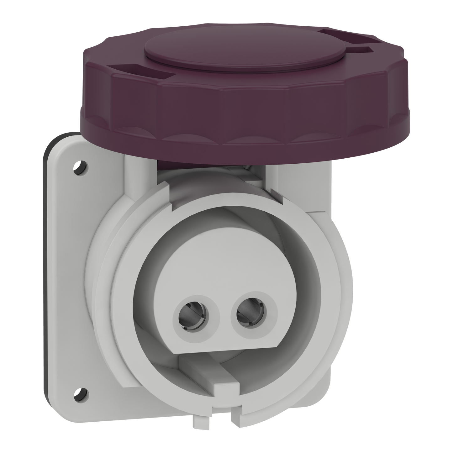Schneider Electric-82951-Mureva - socle de priseindustrielle droite - 16 A - 2P - 20-25 V CA - IP67