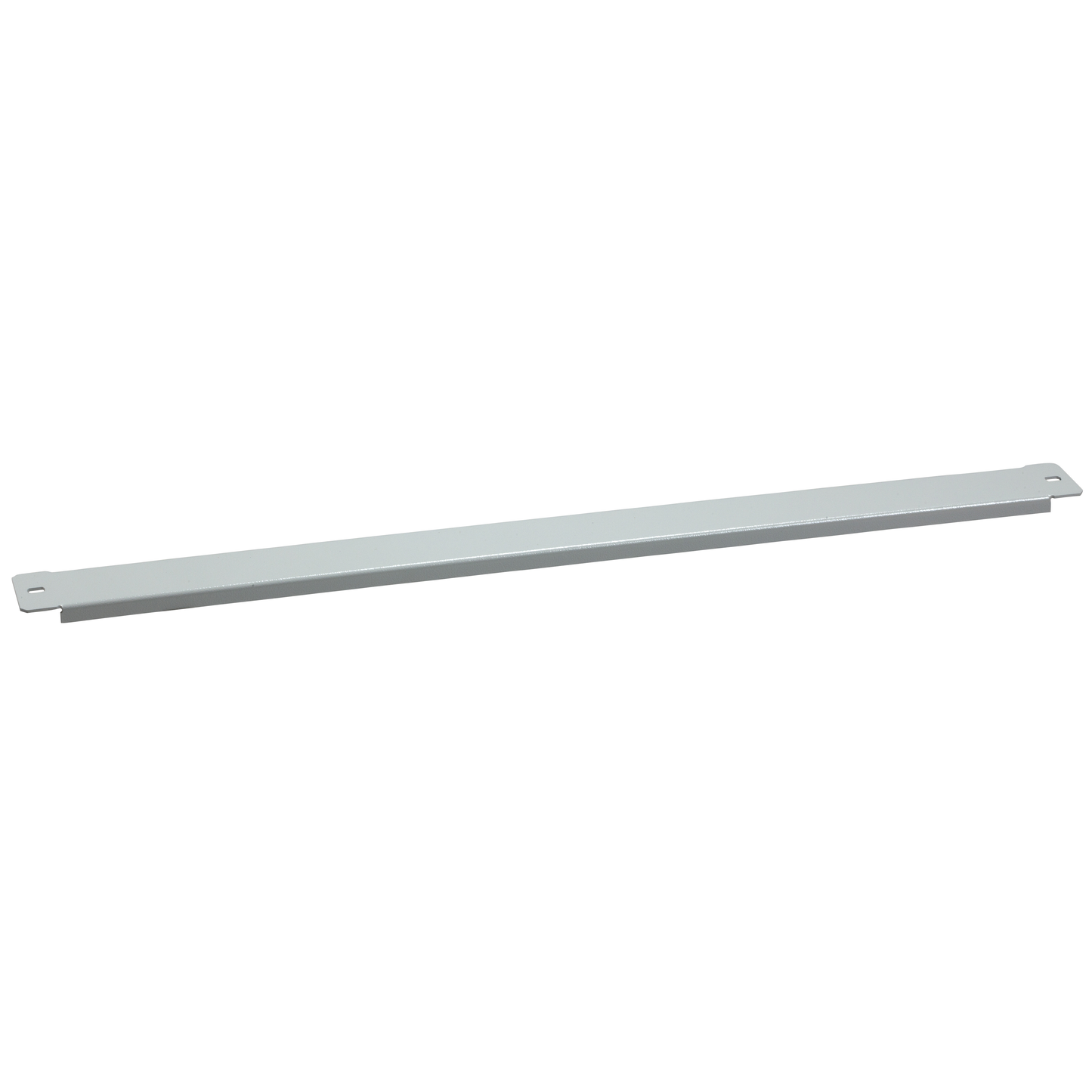 Schneider Electric-NSYADC16-PanelSeT - Thalassa - plastron de rattrapage - 50x600mm - lot de 2