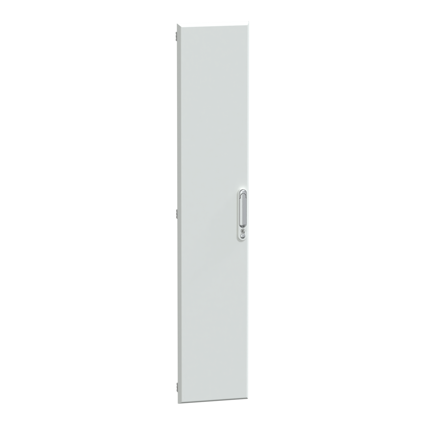 Schneider Electric-LVS08283-Porte pleine gaine ext 30M