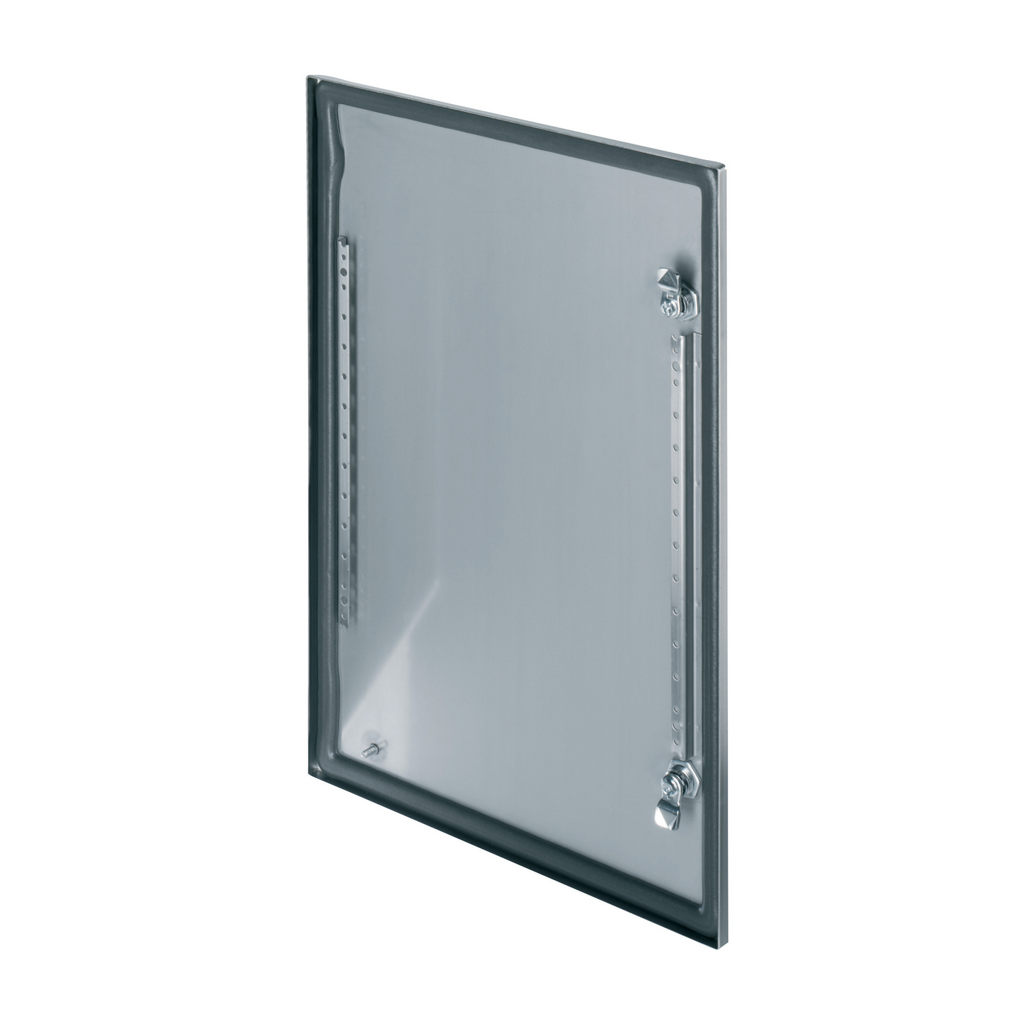 Schneider Electric-NSYDS3X66-PanelSeT Pièces détachées - porte pleine de coffet inox - 600x600 - avec fermet.
