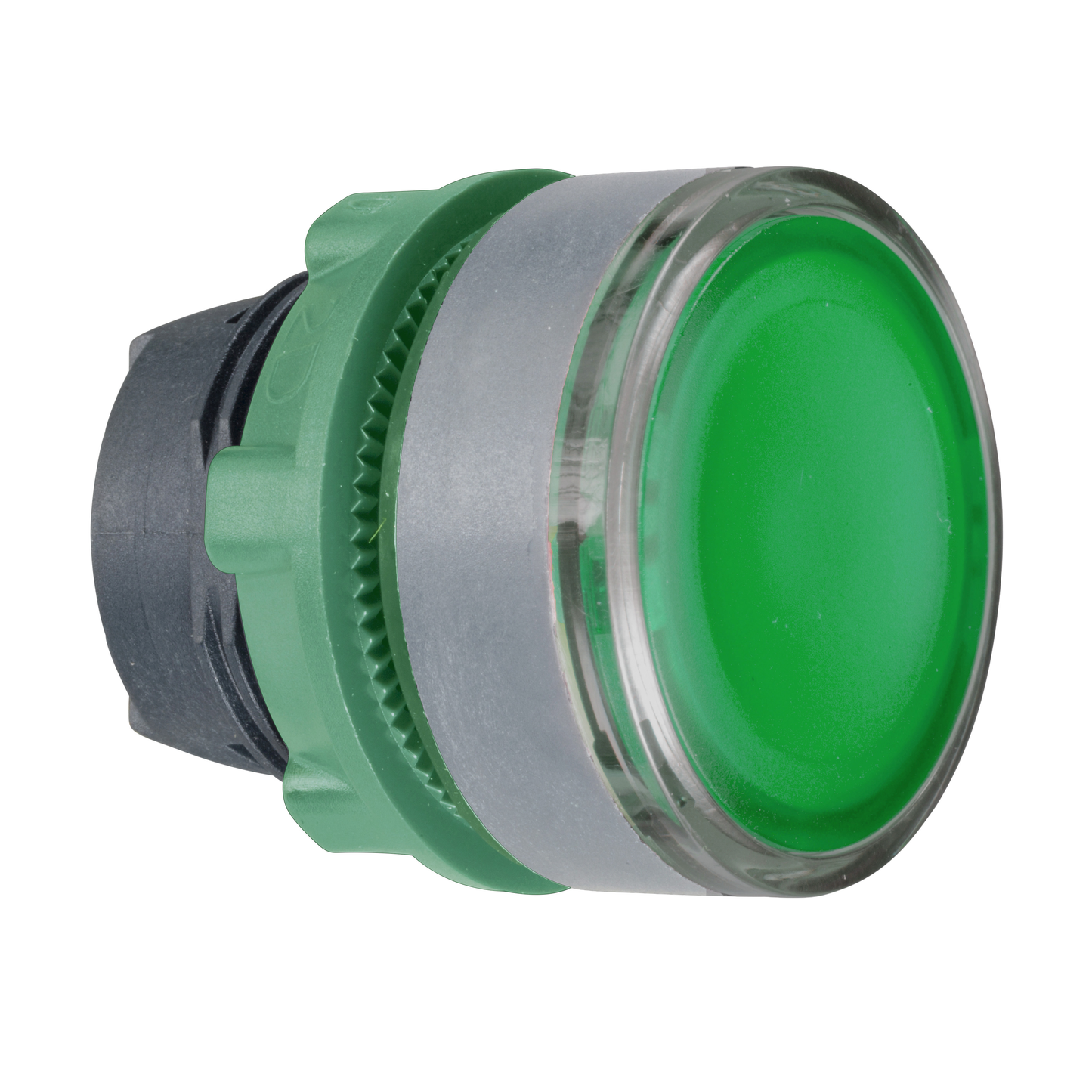 Schneider Electric-ZB5AH03C0-tête BP pousser-pousser vert