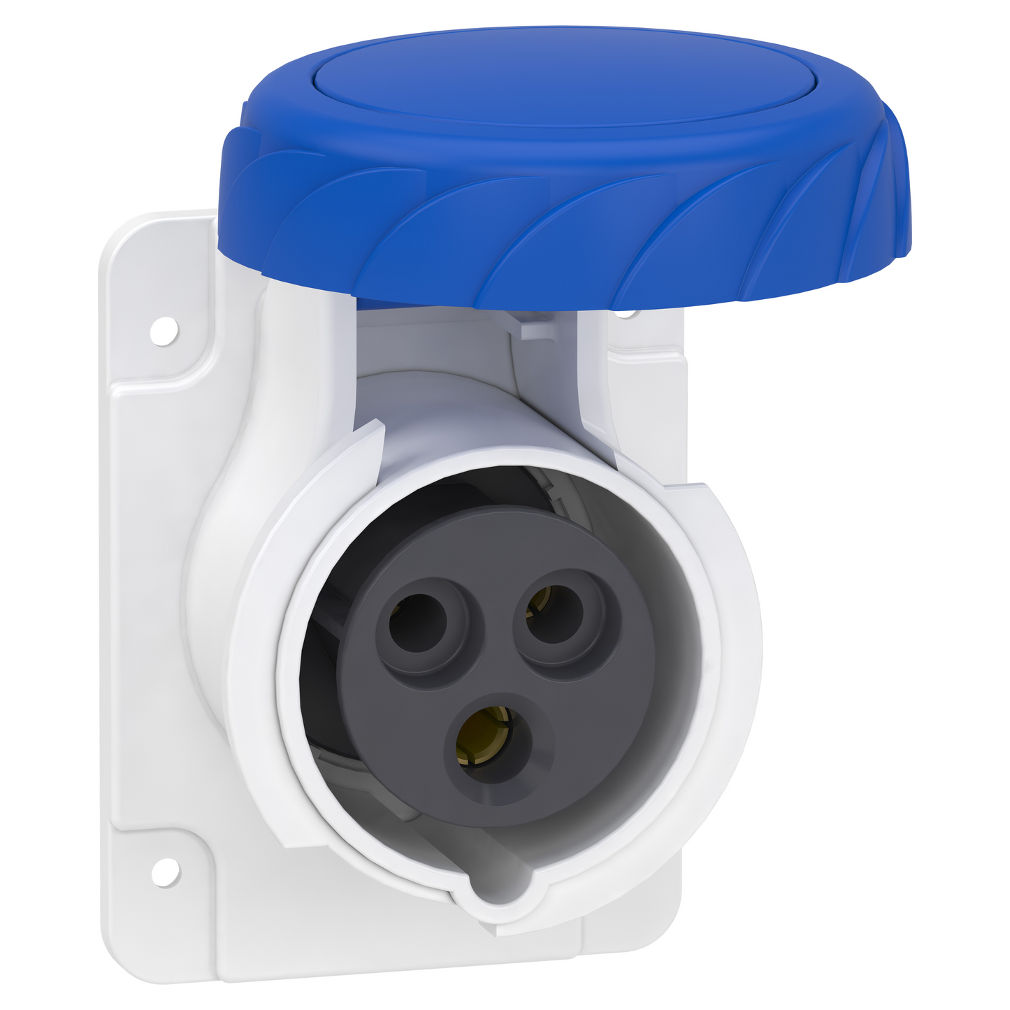 Schneider Electric-PKY16G723-Mureva - socle de prise industrielle droite 16 A - 2P+T - 200-250 V CA - IP67