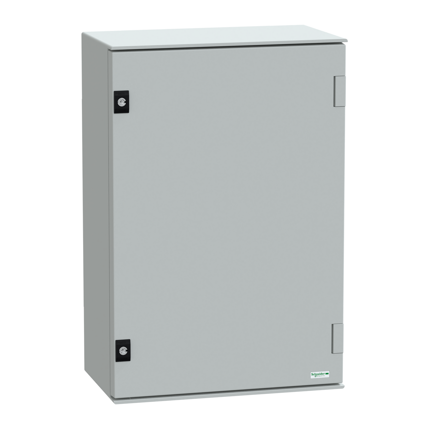Schneider Electric-NSYPLM64PG-Thalassa - Coffret polyester 647x436x250+chassis metallique - IP66 Ral 7035
