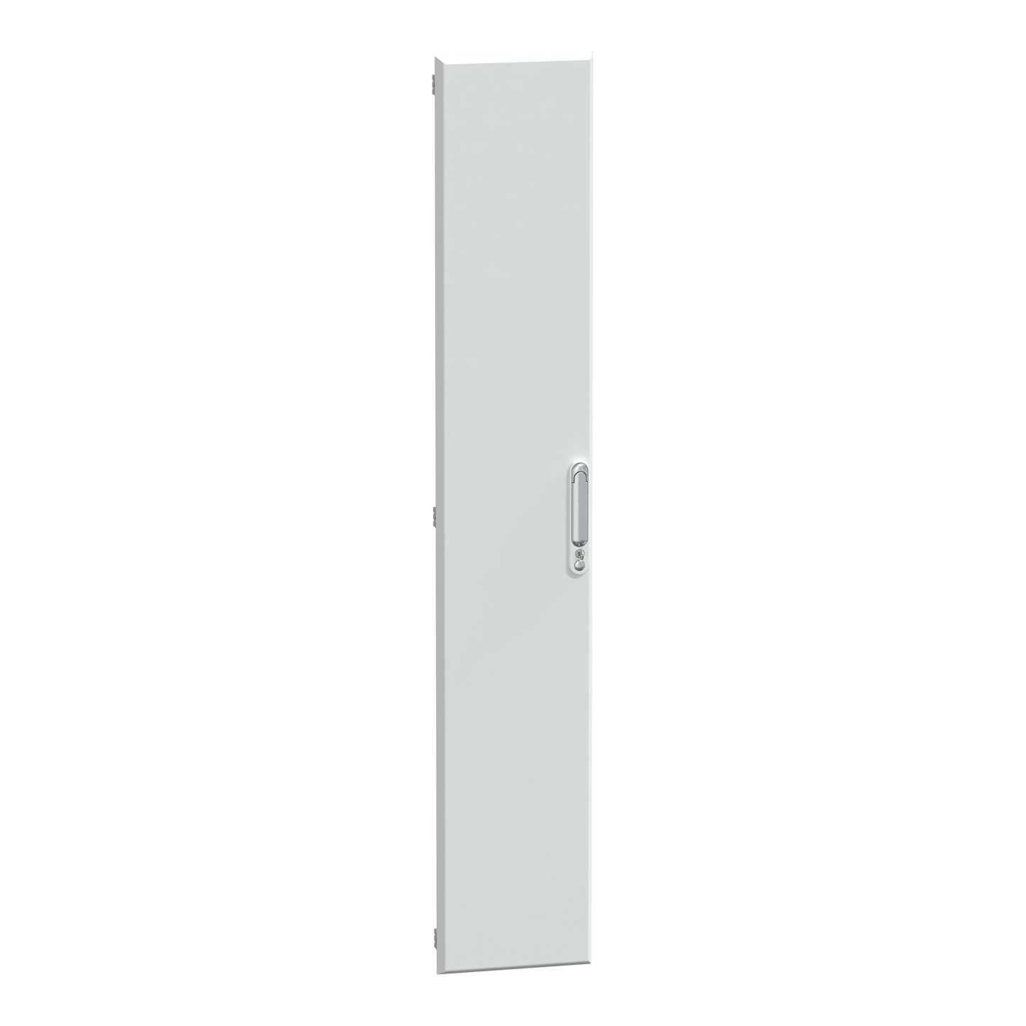 Schneider Electric-LVS08284-Porte pleine gaine ext 33M