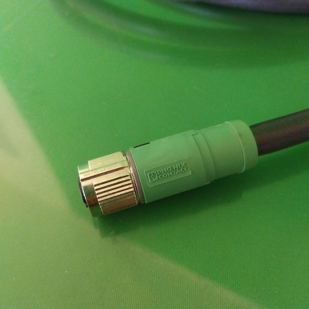 17300