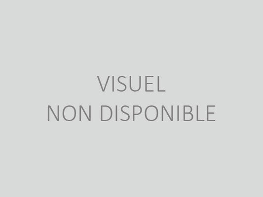 Schneider Electric-KSE16SV1545984-Canalis KSB - coffret de dérivation 160A étanche vide
