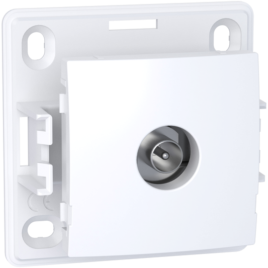 Schneider Electric-ALB61311PW-Reconditionné - Alréa, Prise TV simple mâle blindée, 1 sortie, blanc polaire