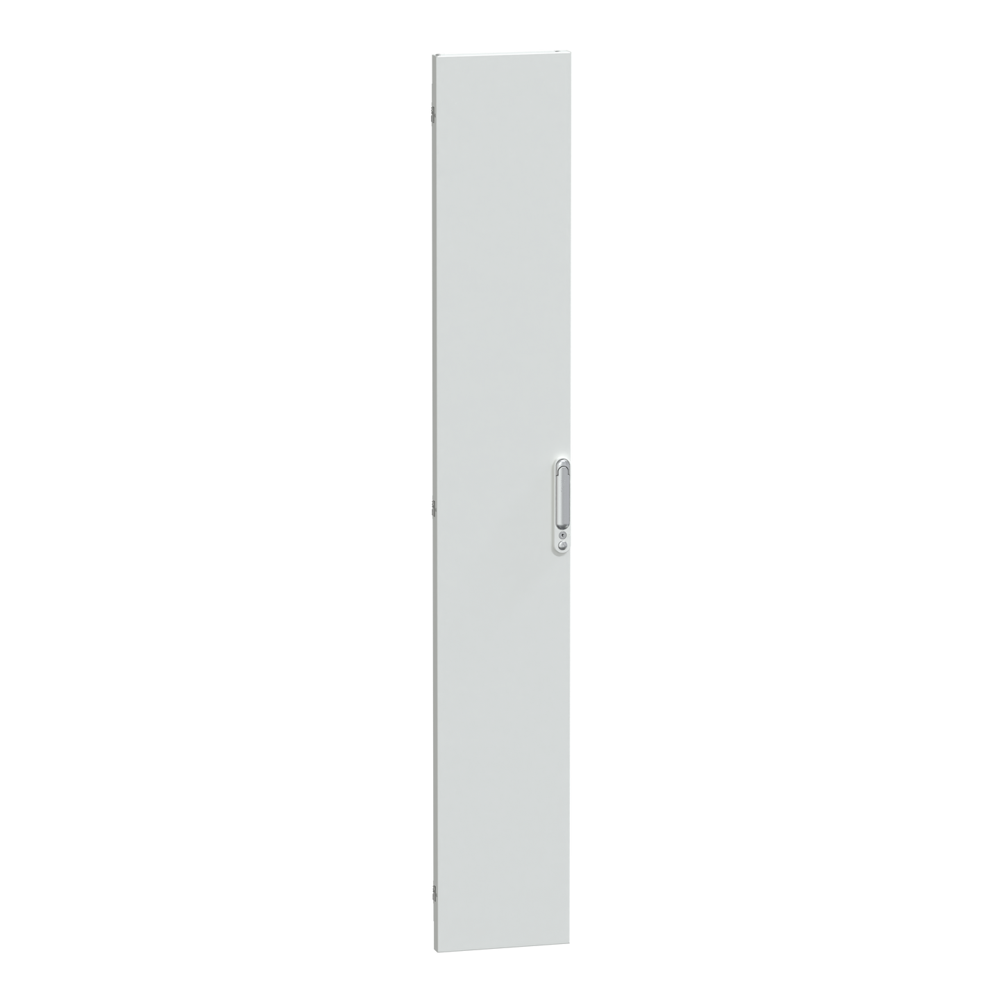 Schneider Electric-LVS08523-PrismaSeT P - Porte pleine IP55 - L300