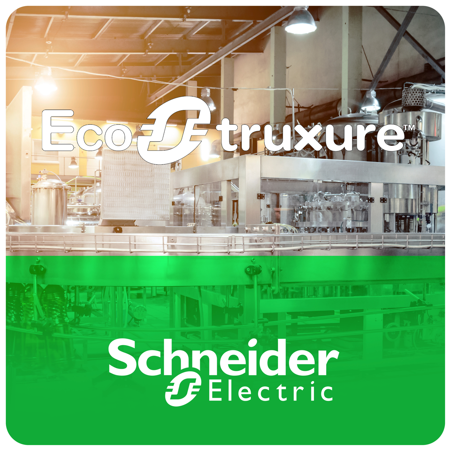 Schneider Electric-ESESADCZZEPAZZ-M Expert Safety ASi Lic Entity