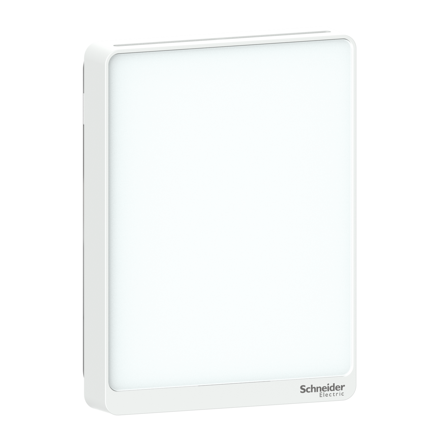 Schneider Electric-SLPWXC2-BMS sonde communic. Bla 4/20mA