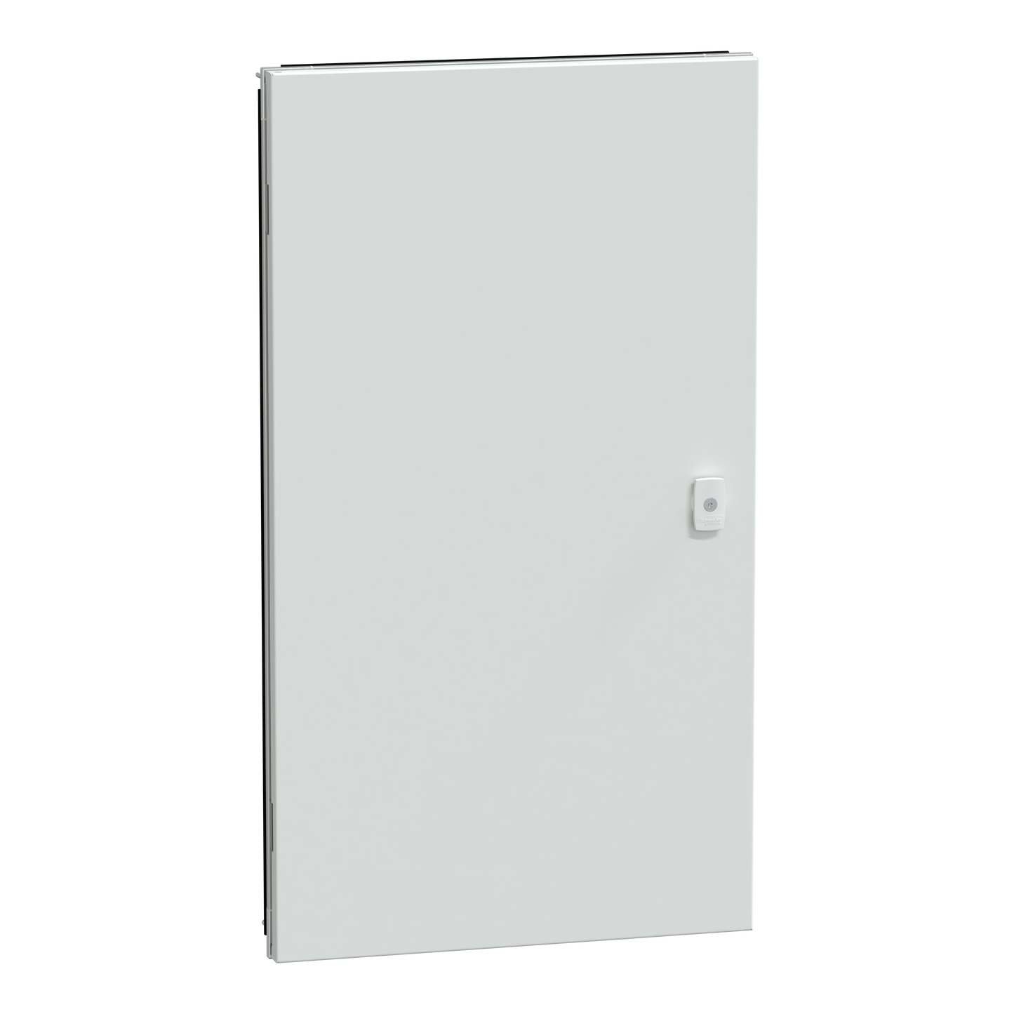 Schneider Electric-LVS08325-PrismaSeT G  - Porte pleine coffret 19M - IP55 - RAL9003