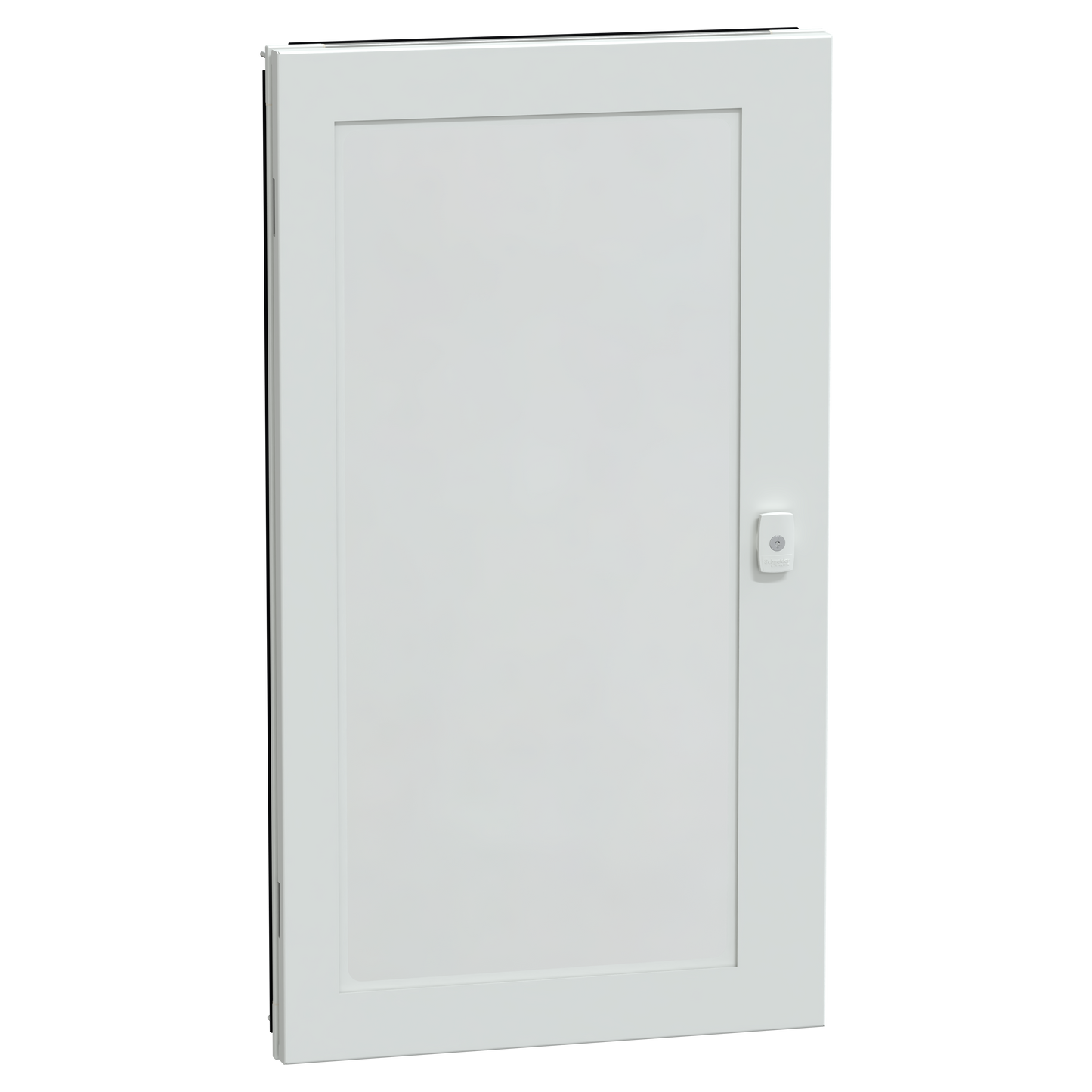 Schneider Electric-LVS08335-Porte verre coffret IP55 19M