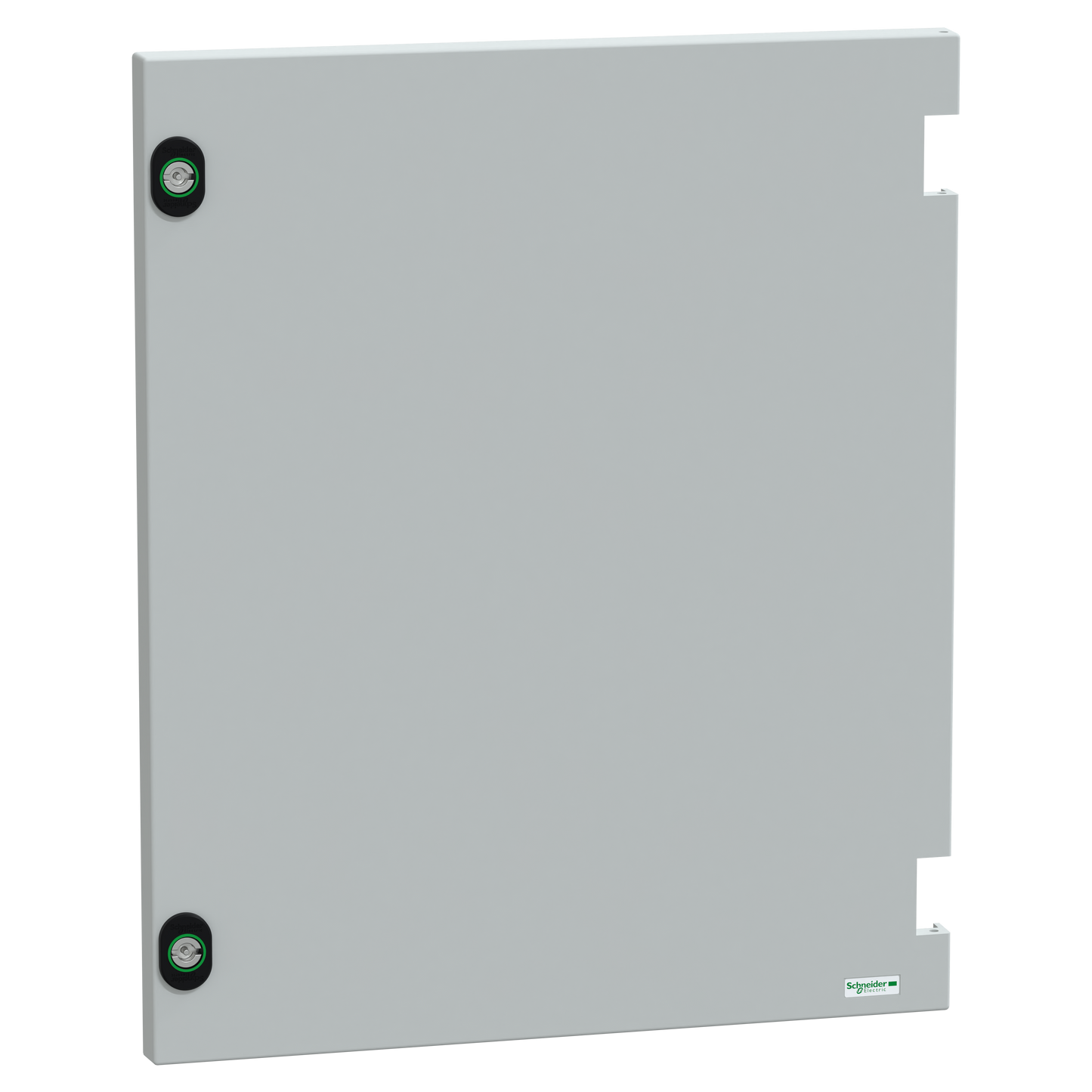 Schneider Electric-NSYDPLM54G-Porte sans serrure  PLM54