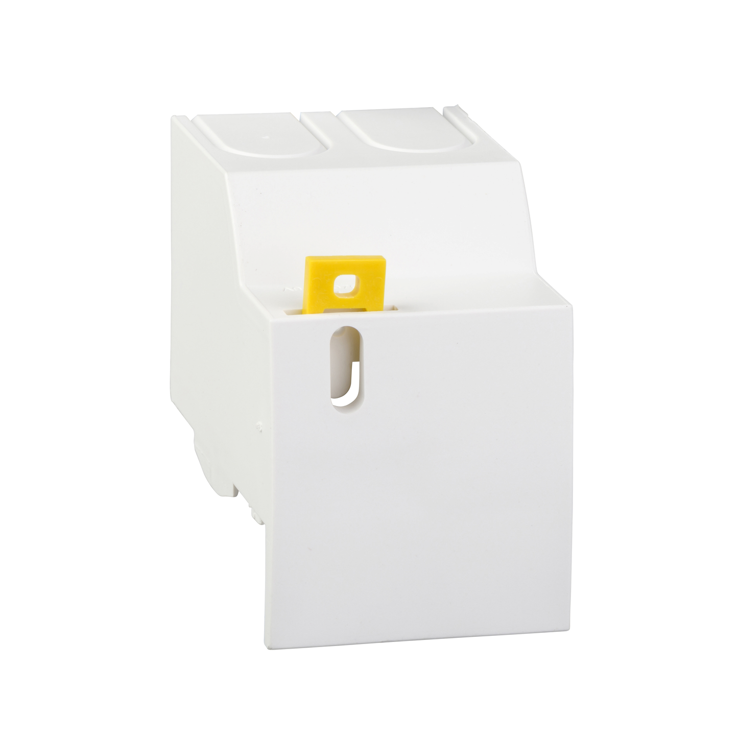 Schneider Electric-A9A26976-Acti9, cache-bornes plombables 2P, 36 mm, lot de 2, pour iC60 et iID