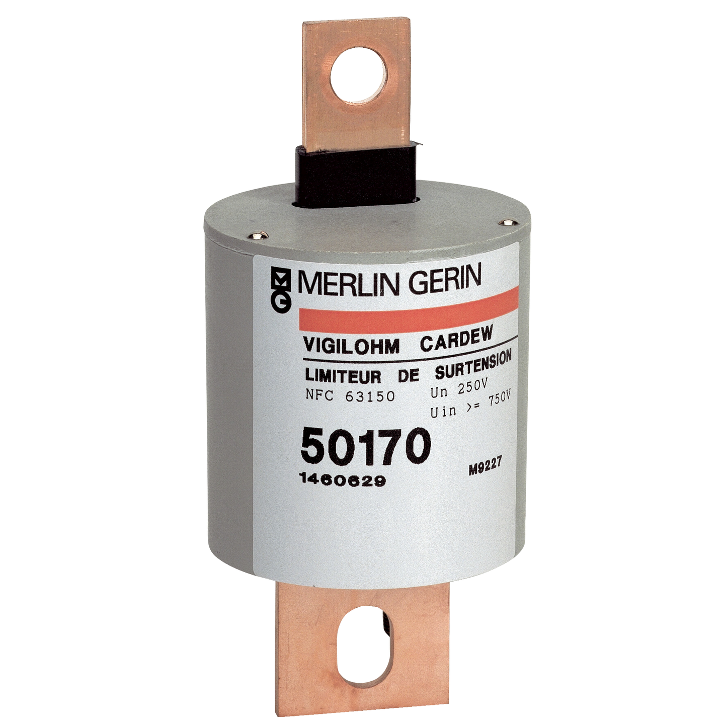 Schneider Electric-50183-Vigilohm - auxiliaire Cartouche Cardew - type 1000V