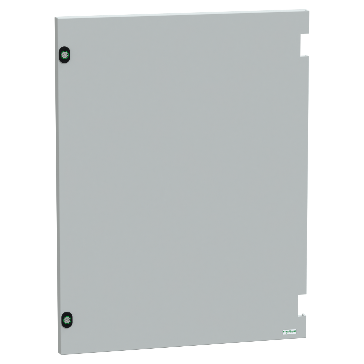 Schneider Electric-NSYDPLM86G-Porte sans serrure  PLM86
