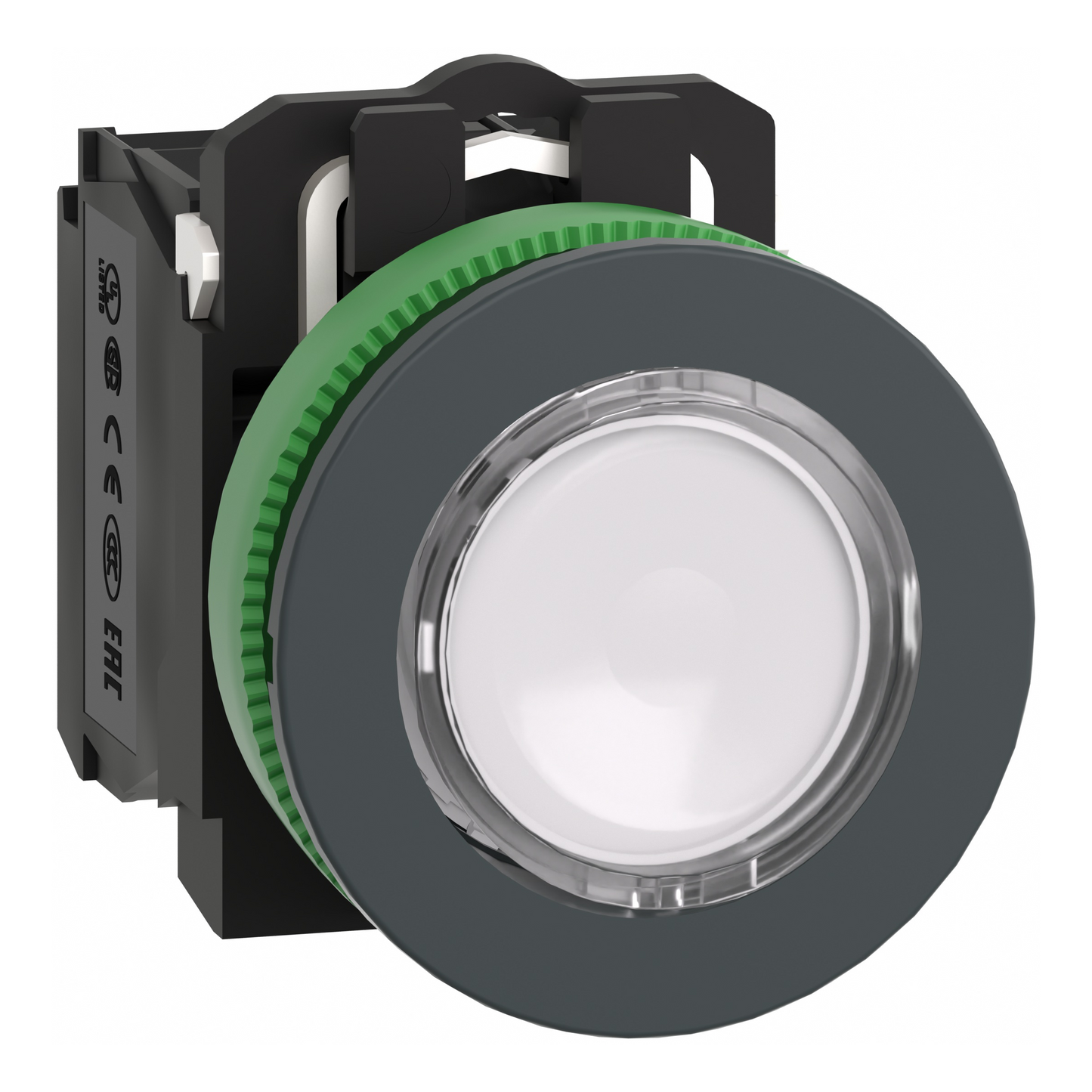 Schneider Electric-XB5FW31G5-BP lum flush blanc 1O+1F 110V