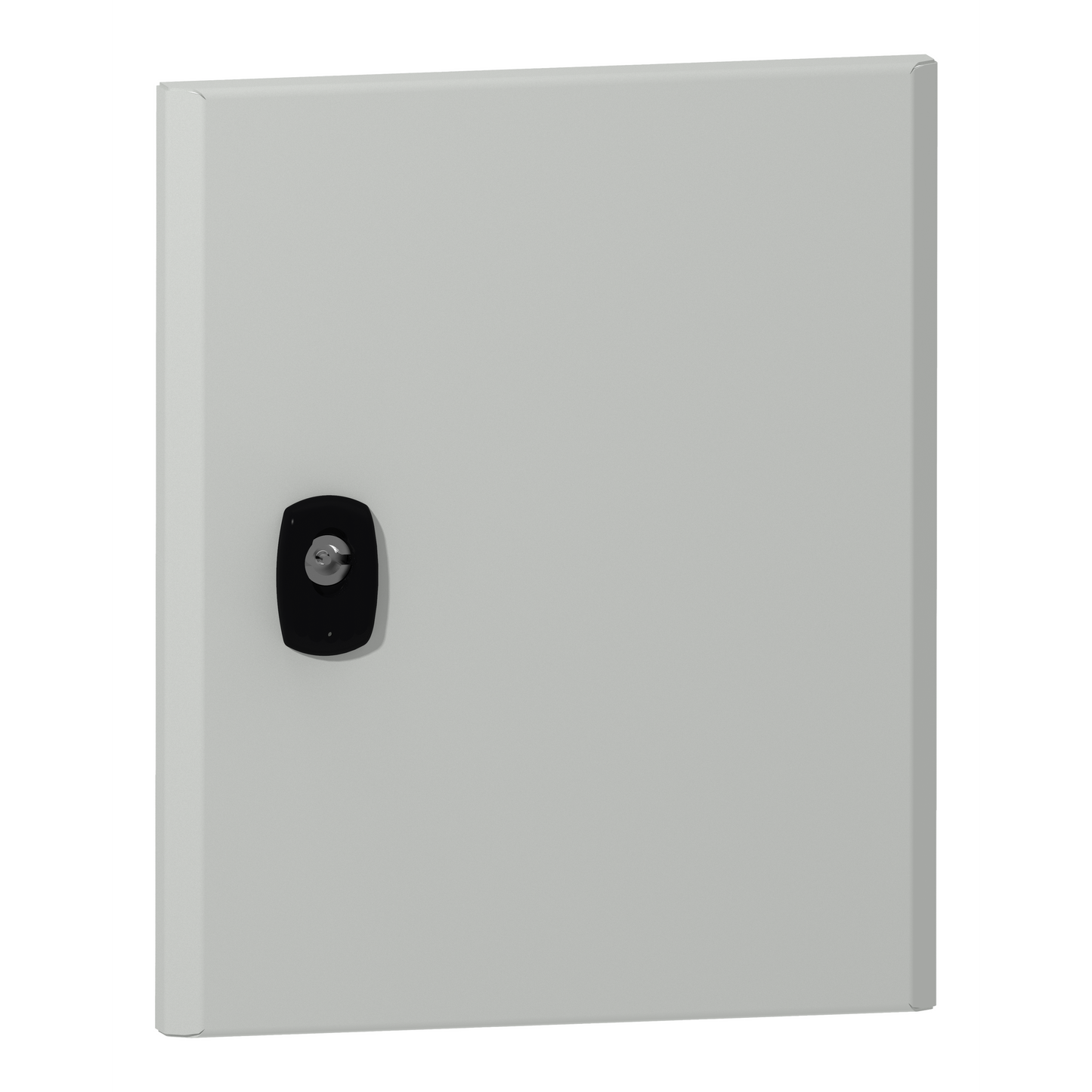 Schneider Electric-NSYDS3D32-PORTE PLEINE S3D 300x200