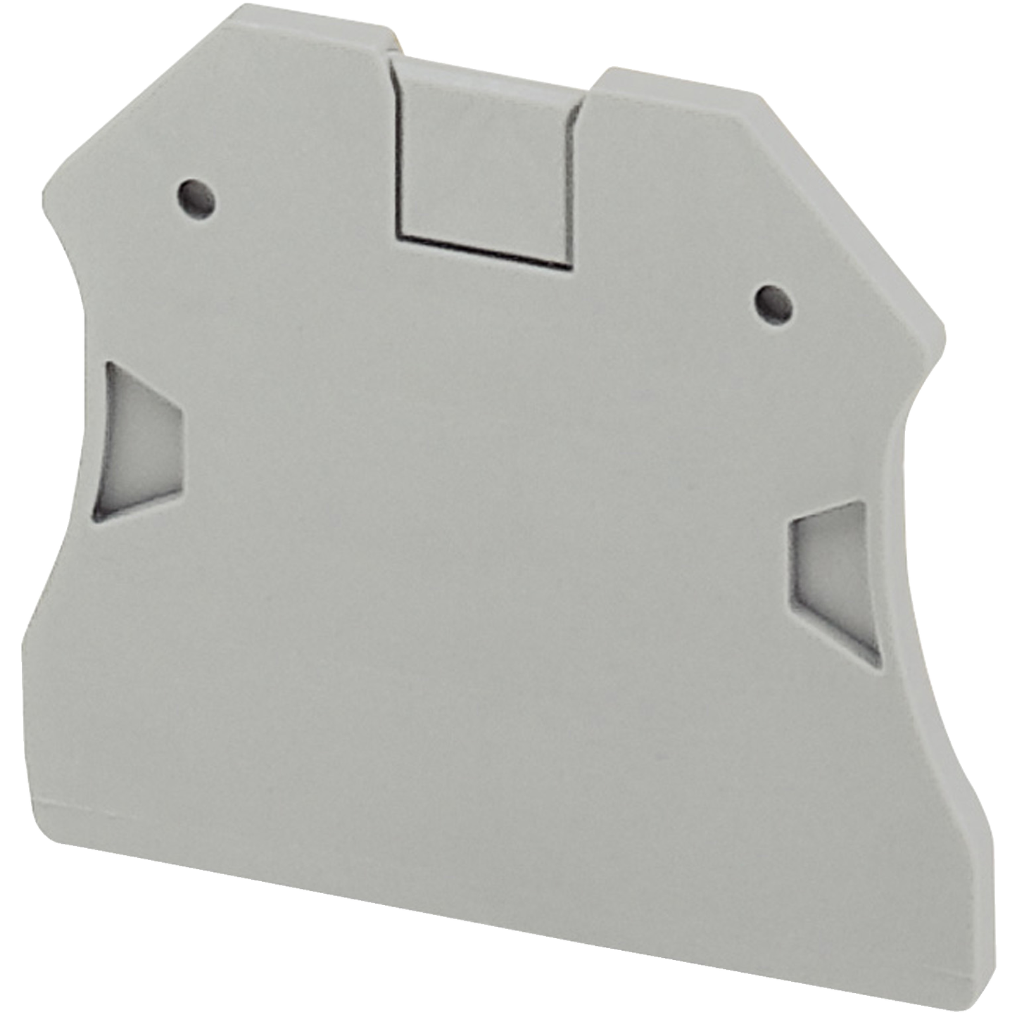 Schneider Electric-NSYTRAC22-Cloison extremité 2 pts - largeur 22mm pour borne à vis NSYTRV22-TRV62-TRV102
