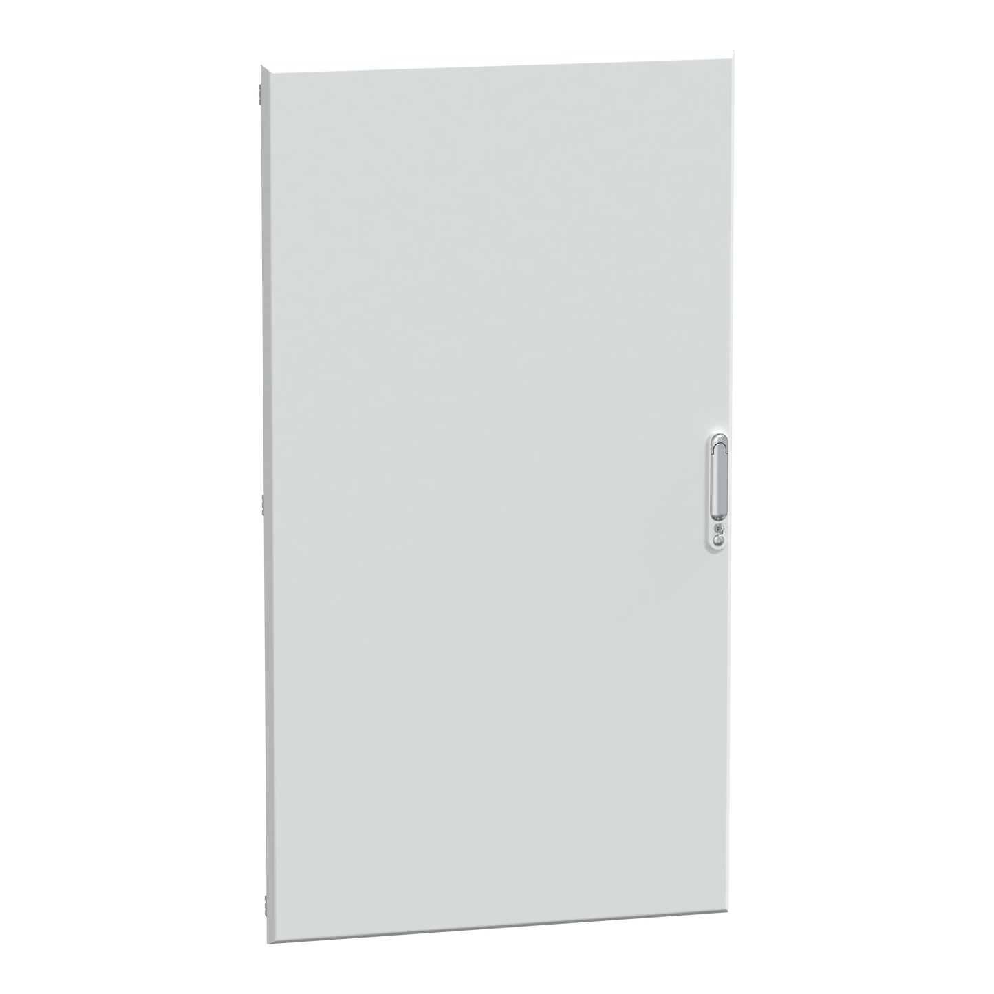 Schneider Electric-LVS08253-Porte pleine armoire 30M blanc