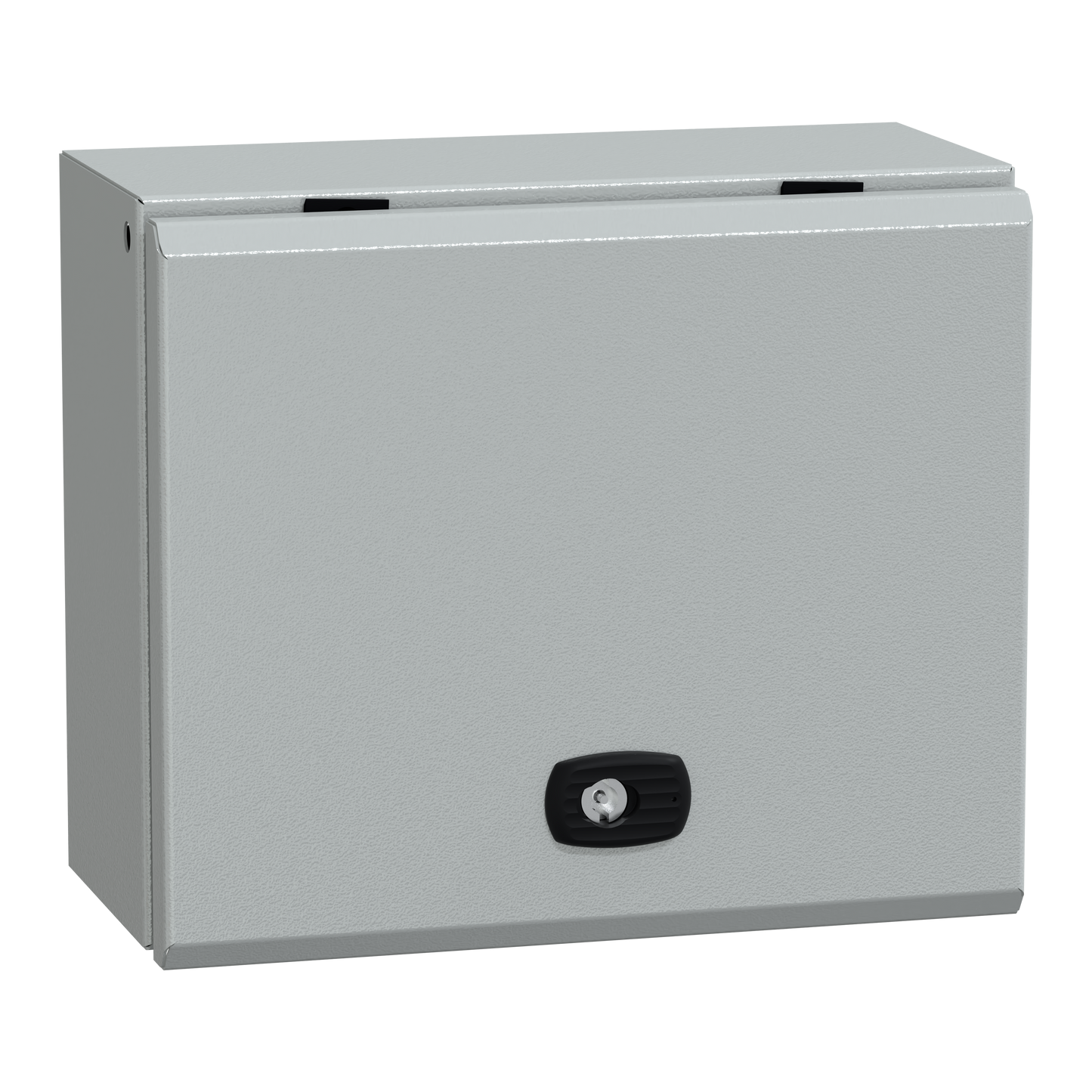 Schneider Electric-NSYS3DB25315-PanelSeT S3DM/S3DB - Bornes - H250xL300xP150 - Porte pleine
