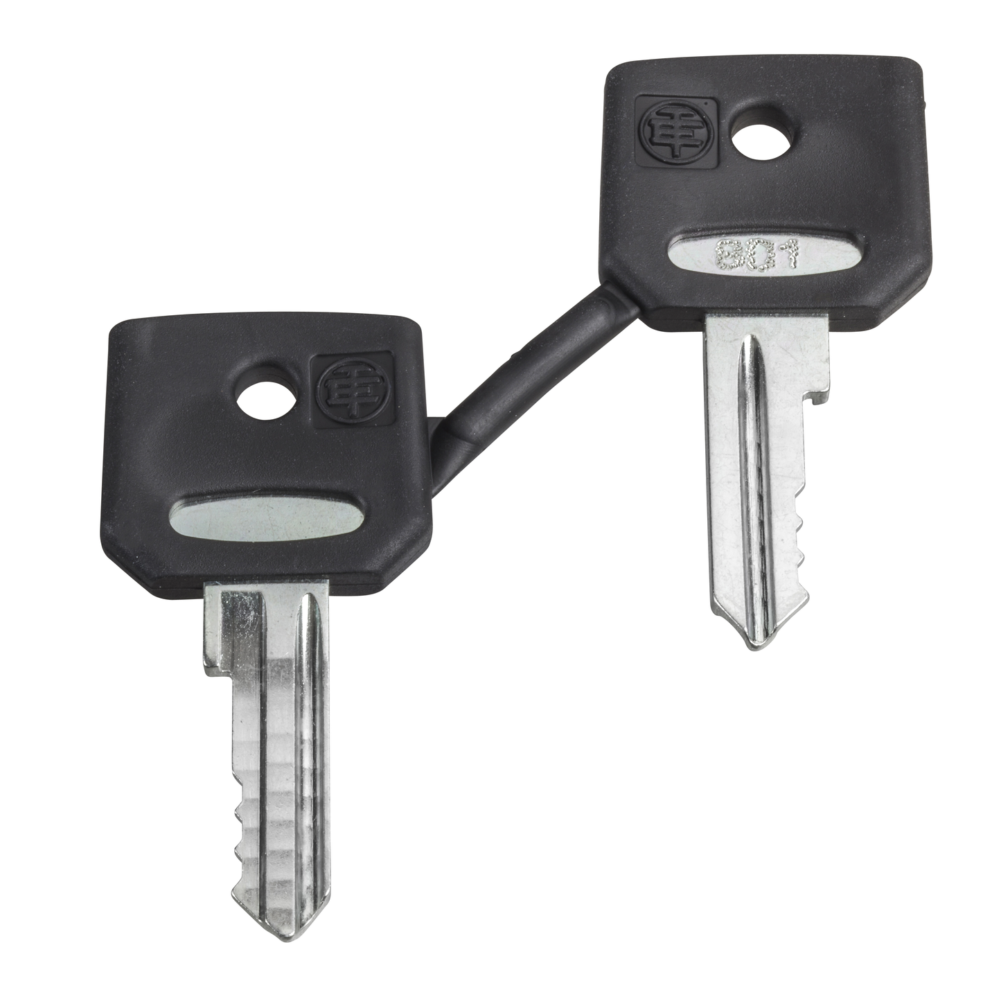 Schneider Electric-ZBG520E-Harmony clé pour serrure - 520E - jeu de 2