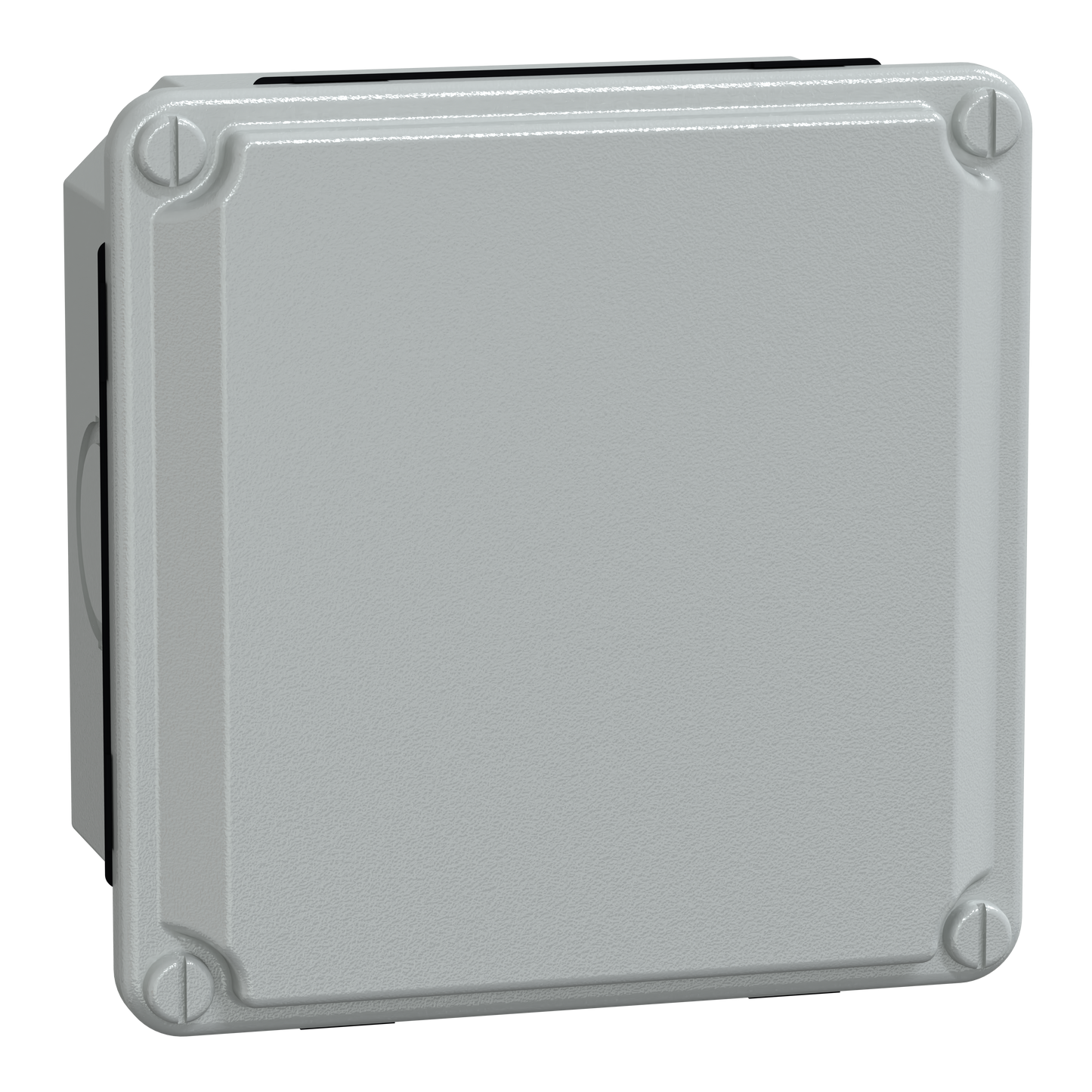 Schneider Electric-NSYDB1010M-BTE AC CV B105X105X49PRED