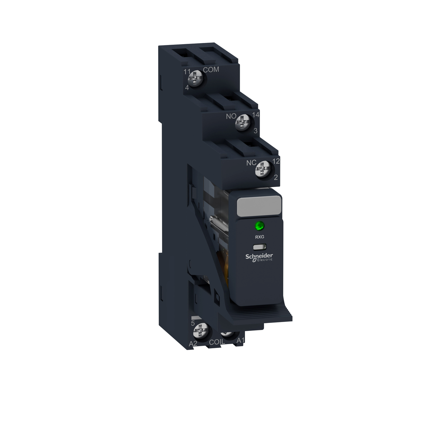 Schneider Electric-RXG13BDPV-box of 30 *  relais + embase 1OF 10A 24VDC