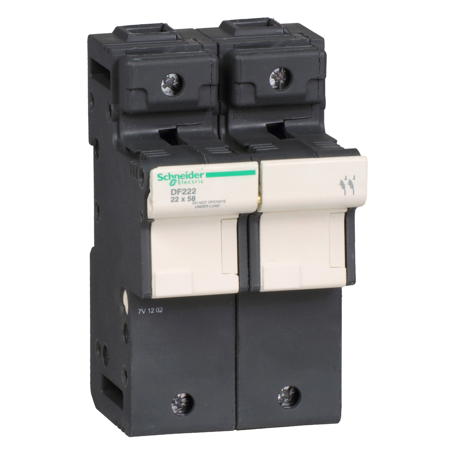 Schneider Electric-DF222-TeSys - porte-fusible - 2P - 125A - pour fusible 22x58mm