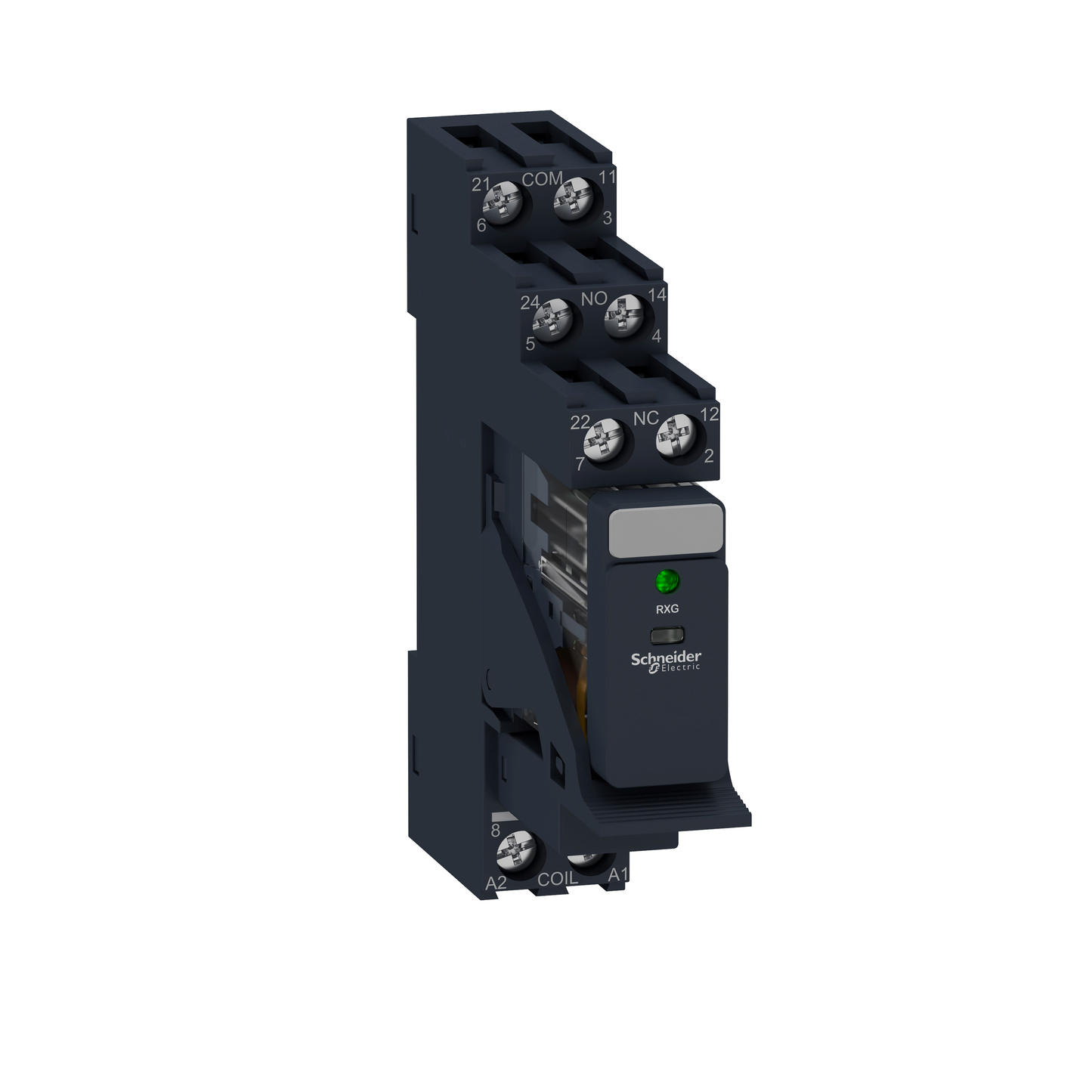 Schneider Electric-RXG23BDPV-Harmony Relay RXG - relais embrochable monté sur embase - DEL - 2OF 5A - 24VDC