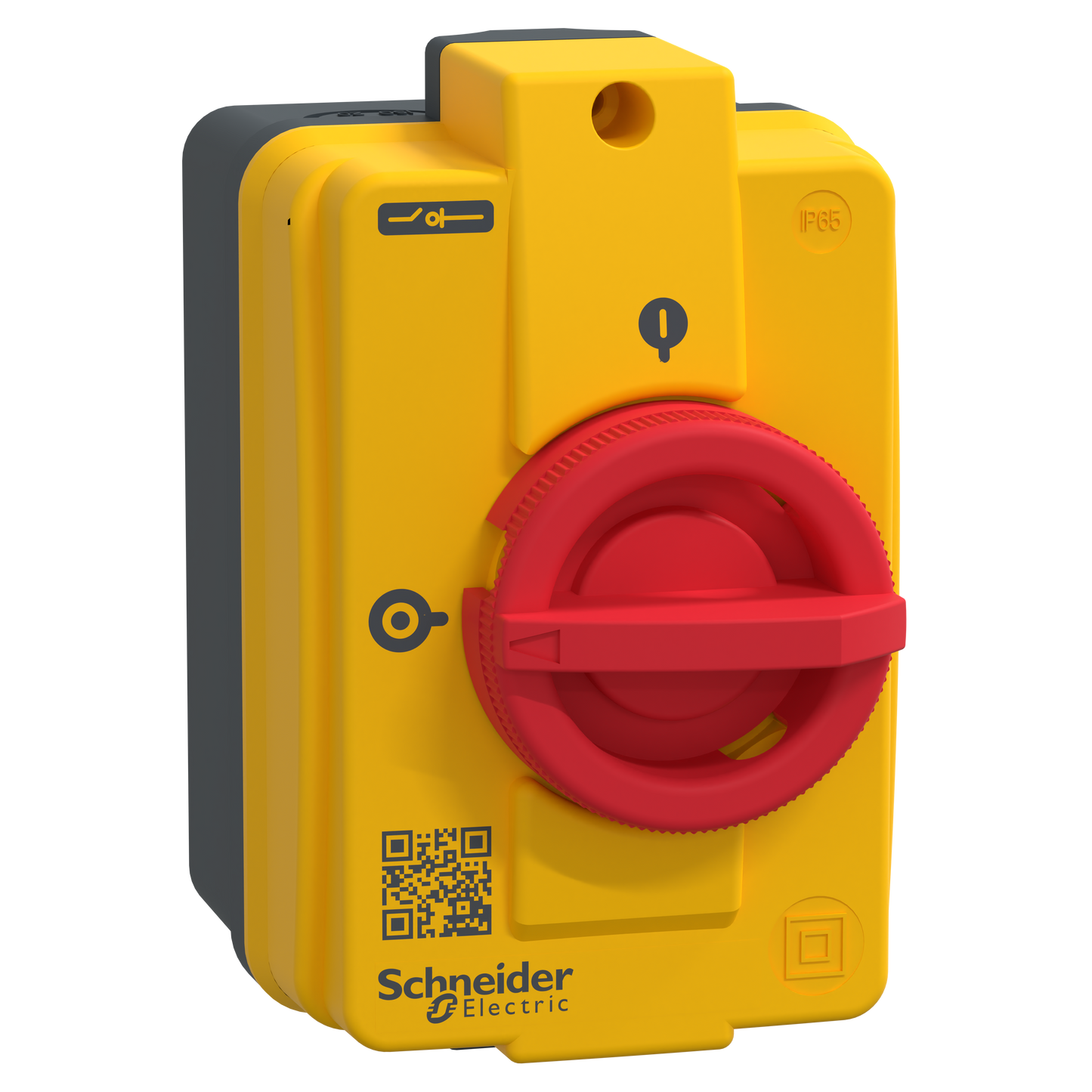 Schneider Electric-VCFN40GE-TeSys VCFN - interr.-sectionneur en coffret - 3P - 32A