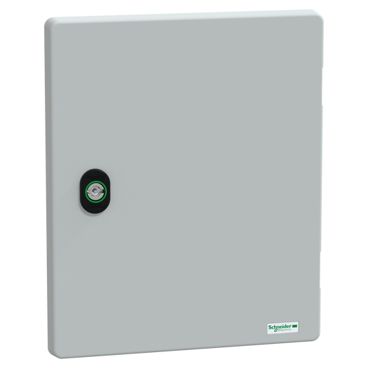 Schneider Electric-NSYDPLM3025G-Porte sans serrure PLM3025